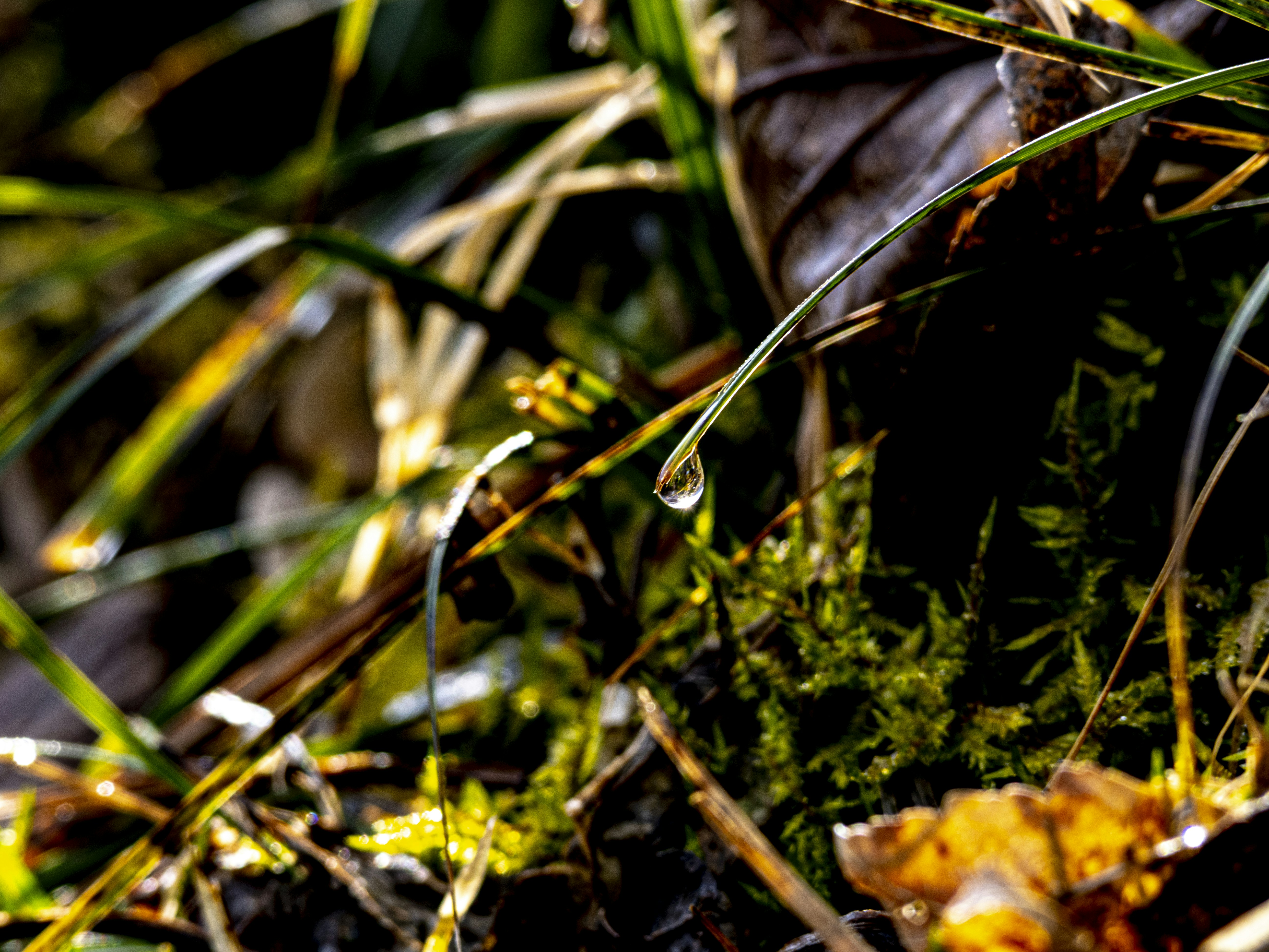 Photo by gopitri_prem