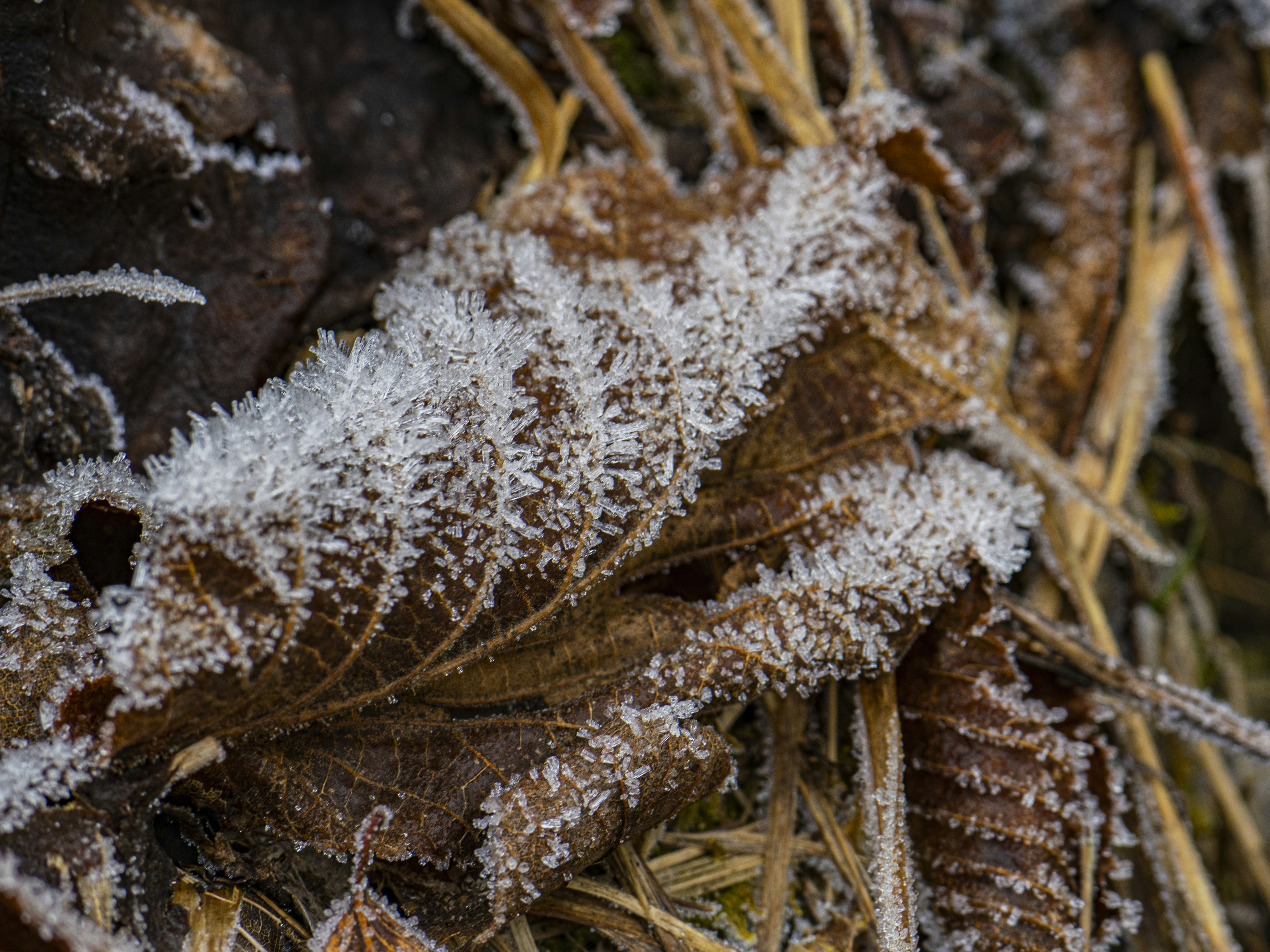 Photo by gopitri_prem