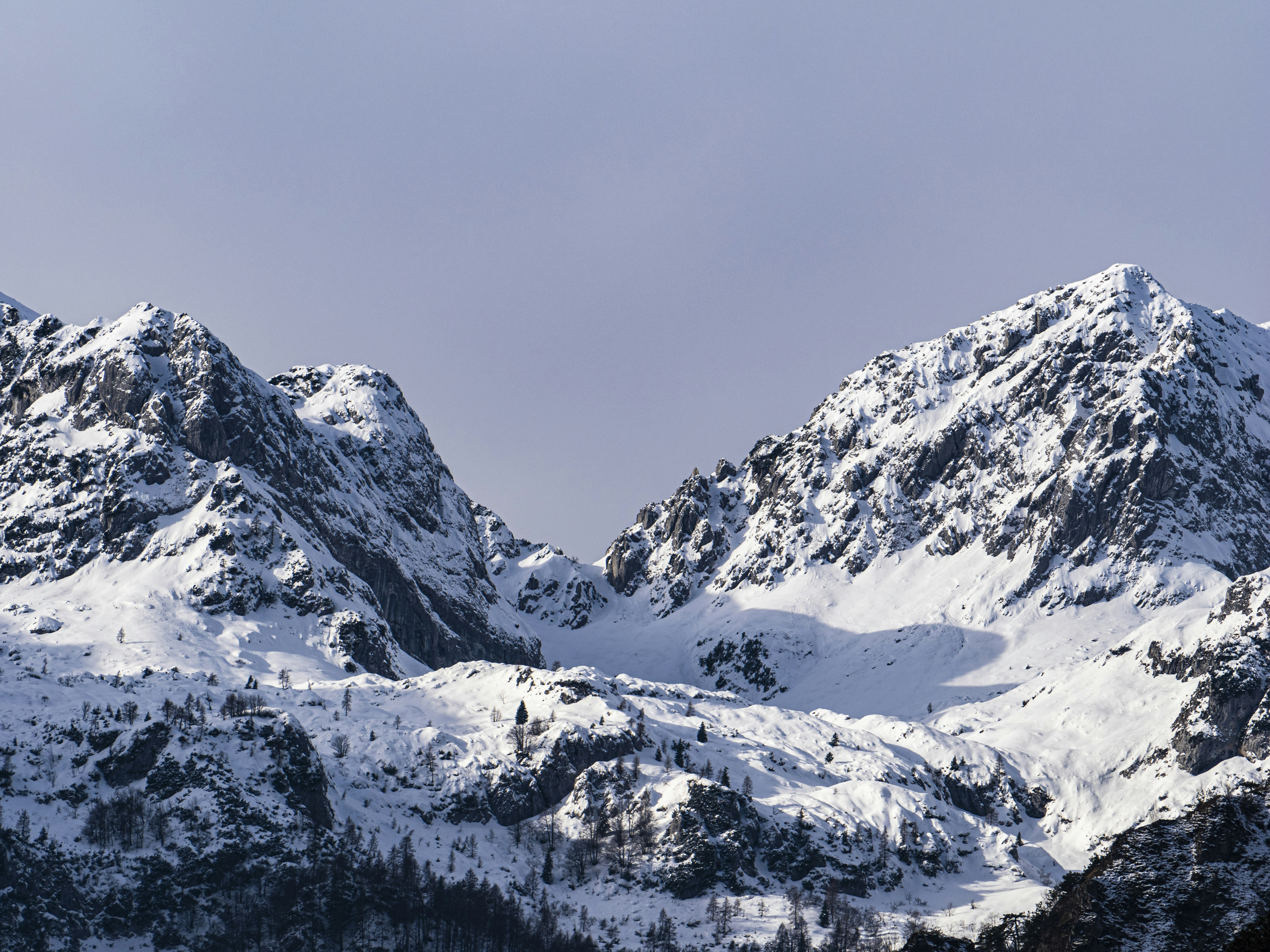 Photo by gopitri_prem