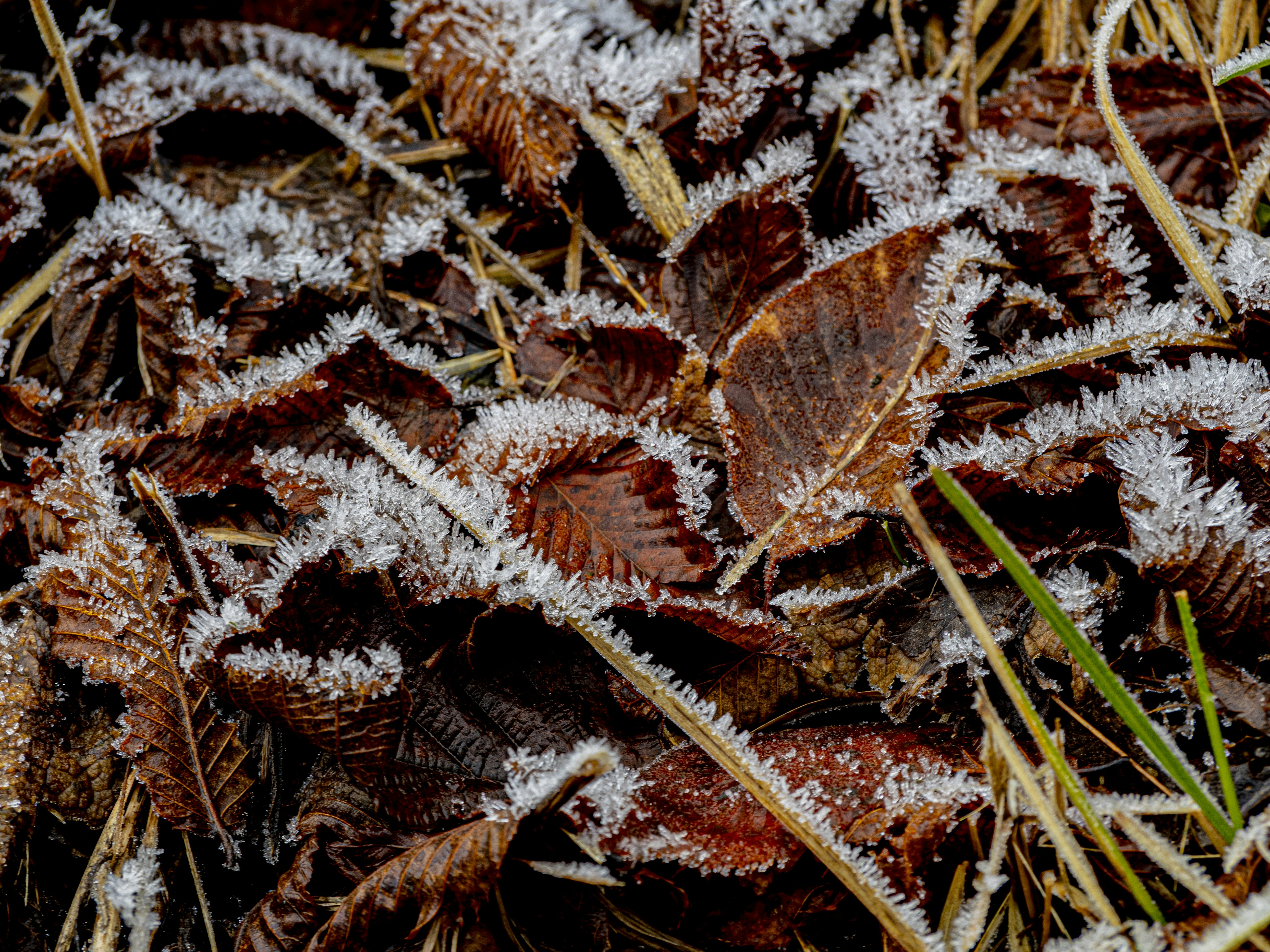 Photo by gopitri_prem