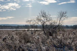 The sun shines through the clouds over a snowy field
