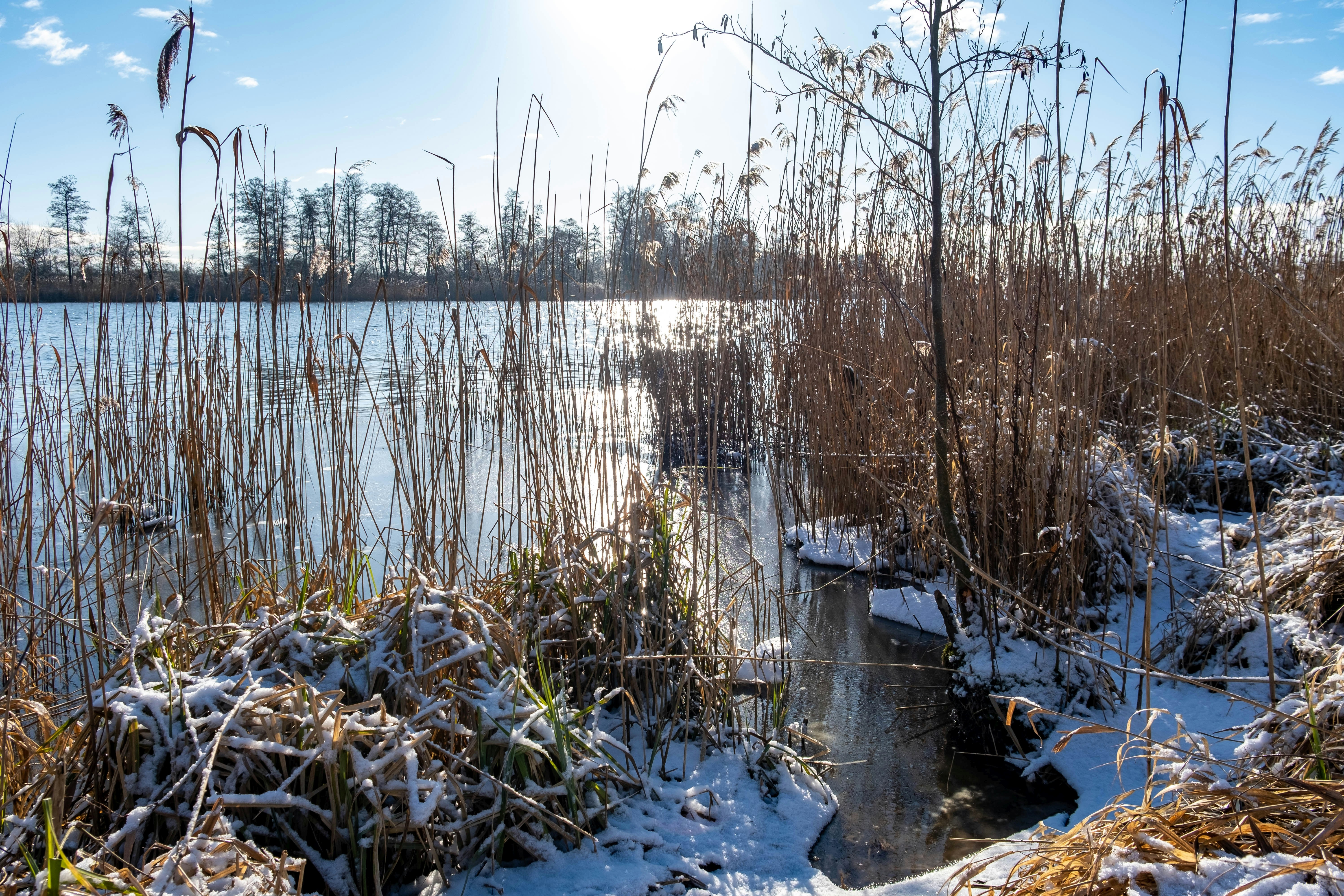 Photo by skajpel
