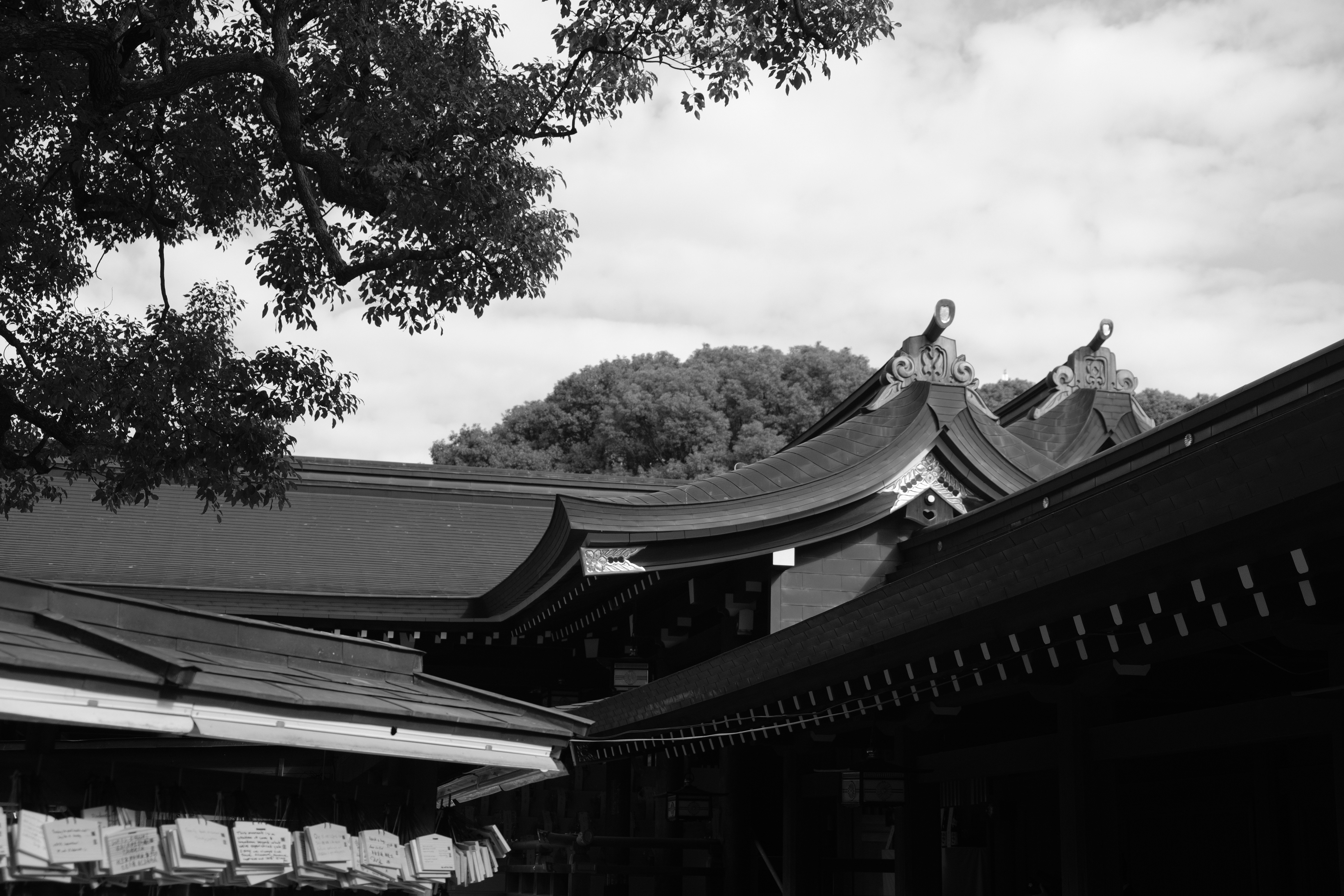 Photo by smalltown_boy