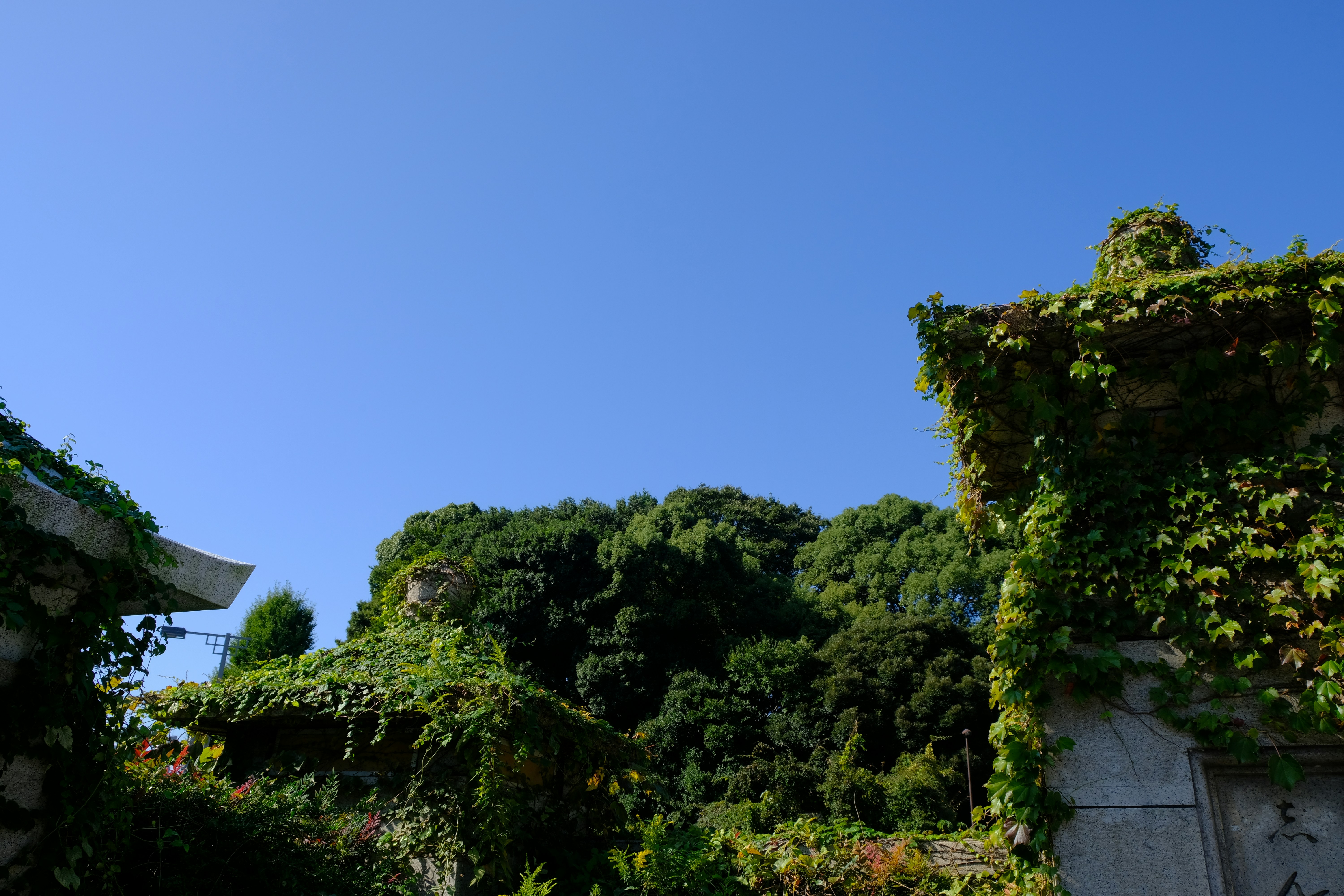 Photo by smalltown_boy