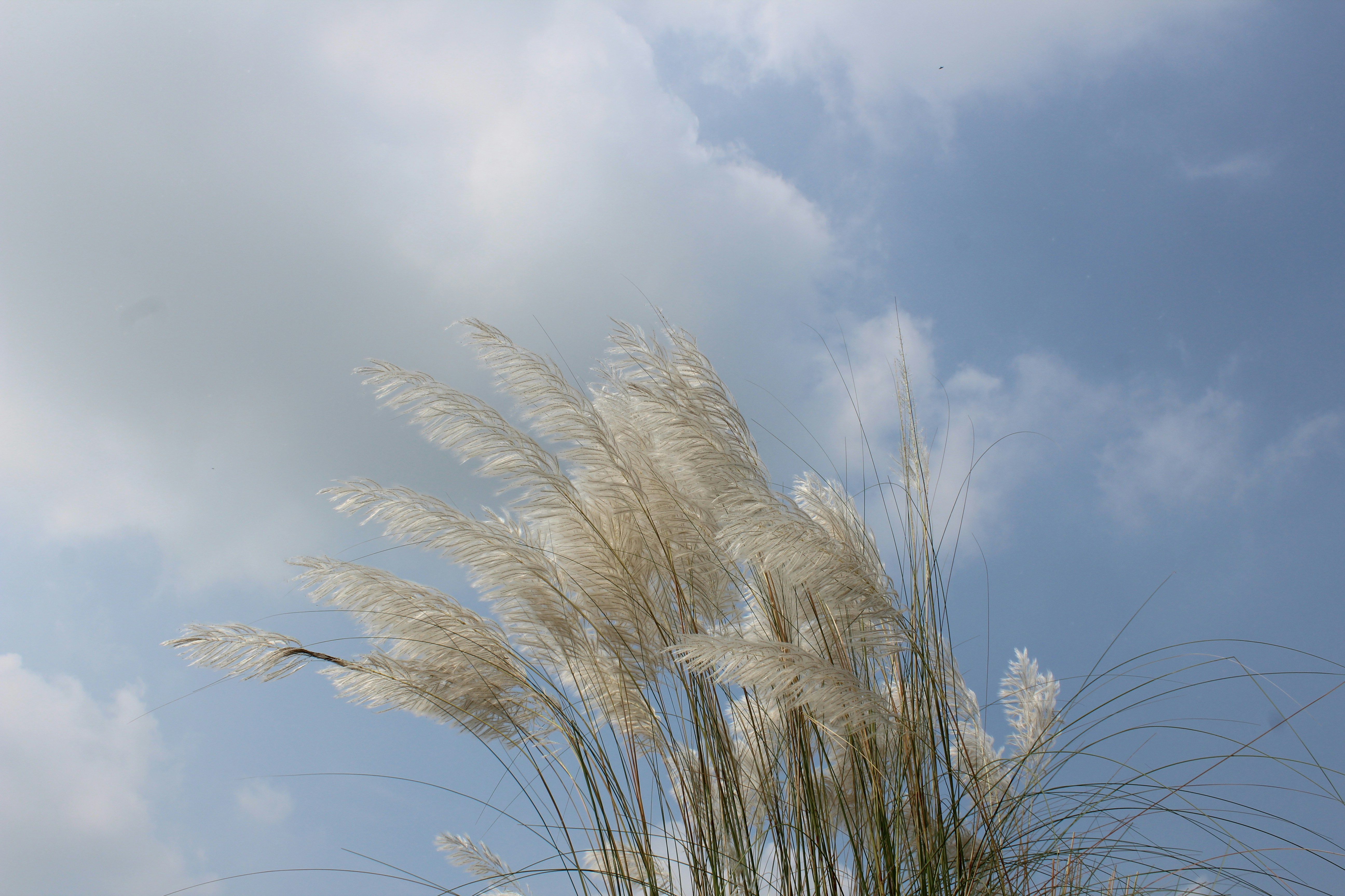 Photo by mirshamsulalam