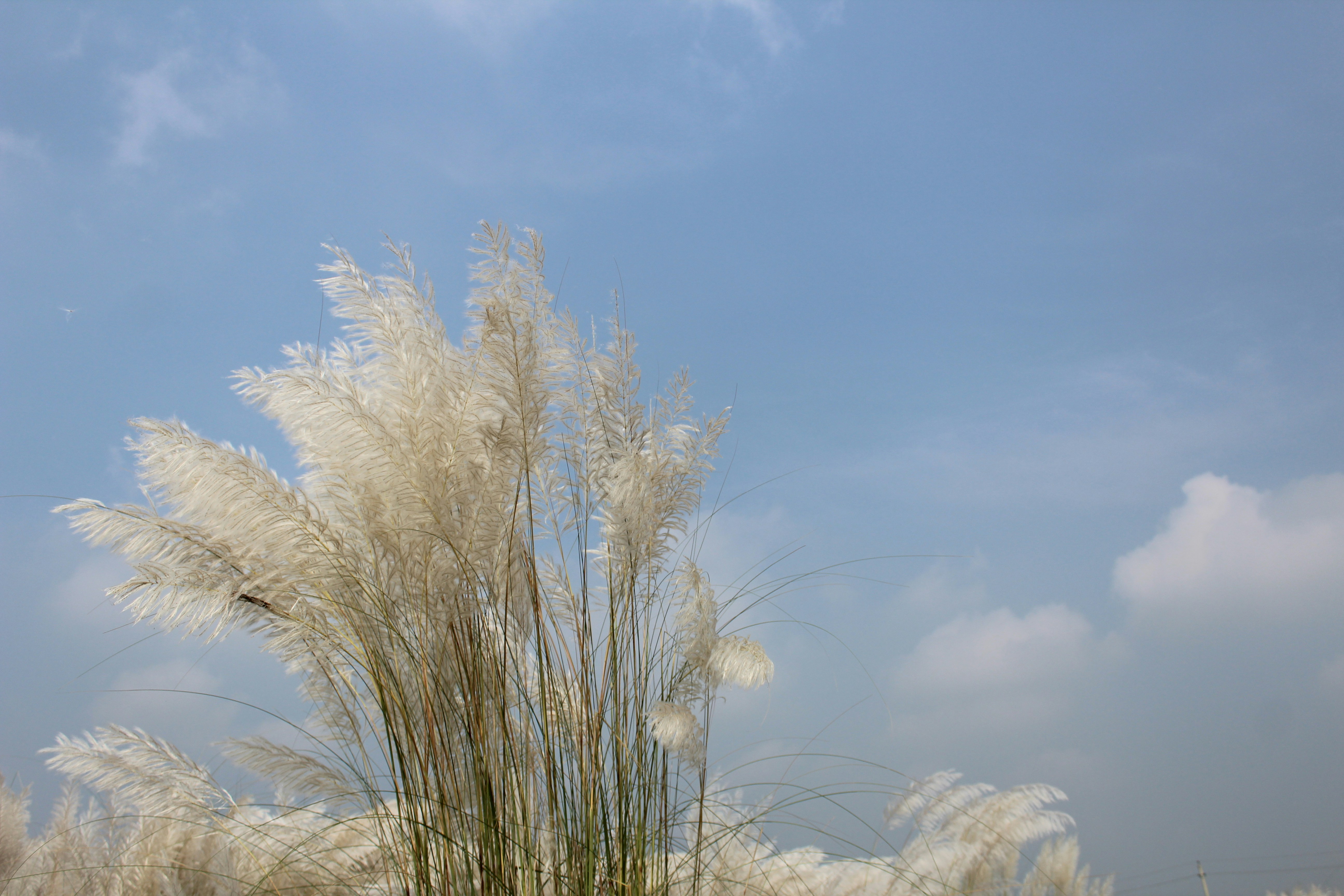 Photo by mirshamsulalam