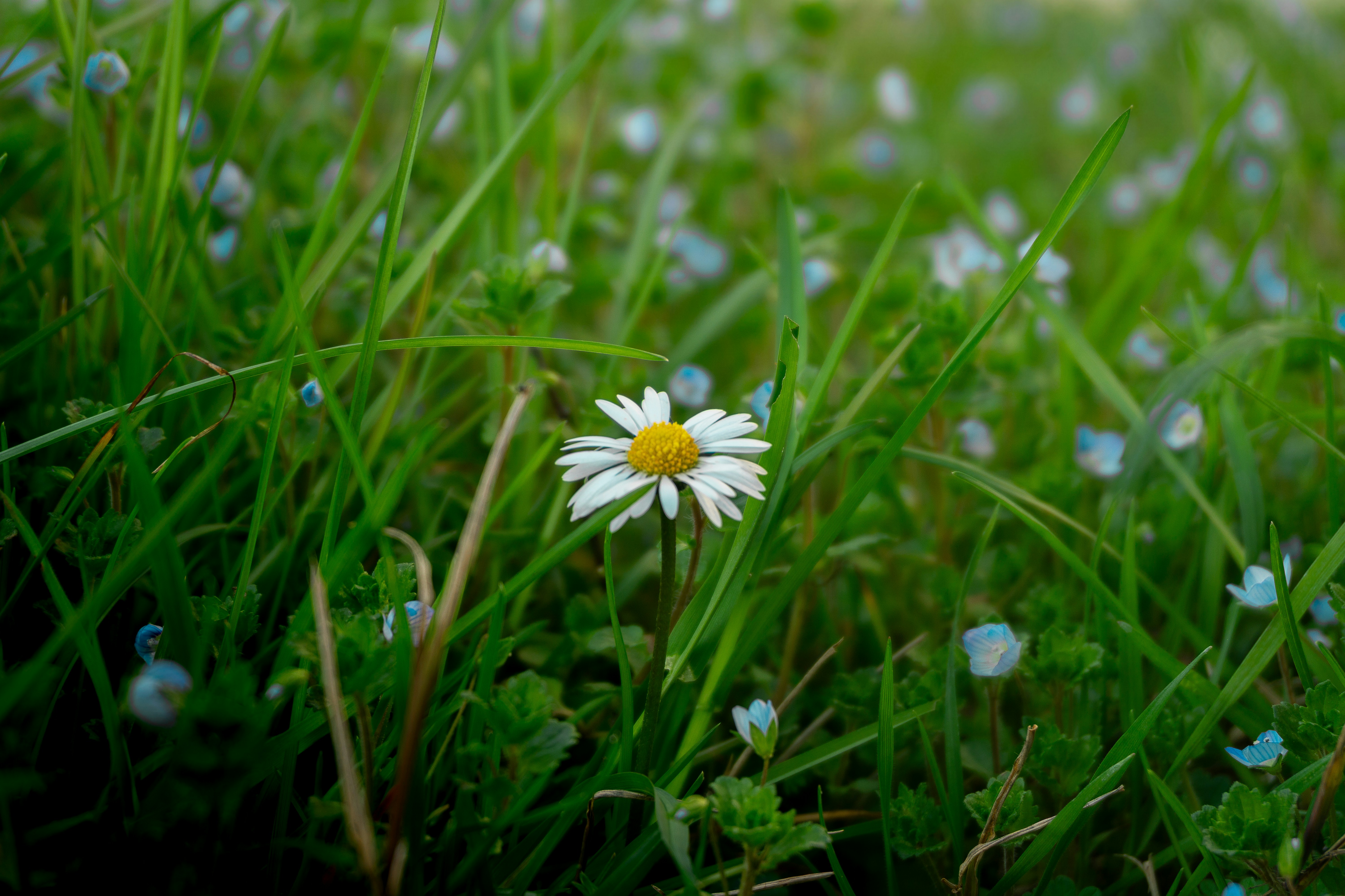 Photo by hardialsingh