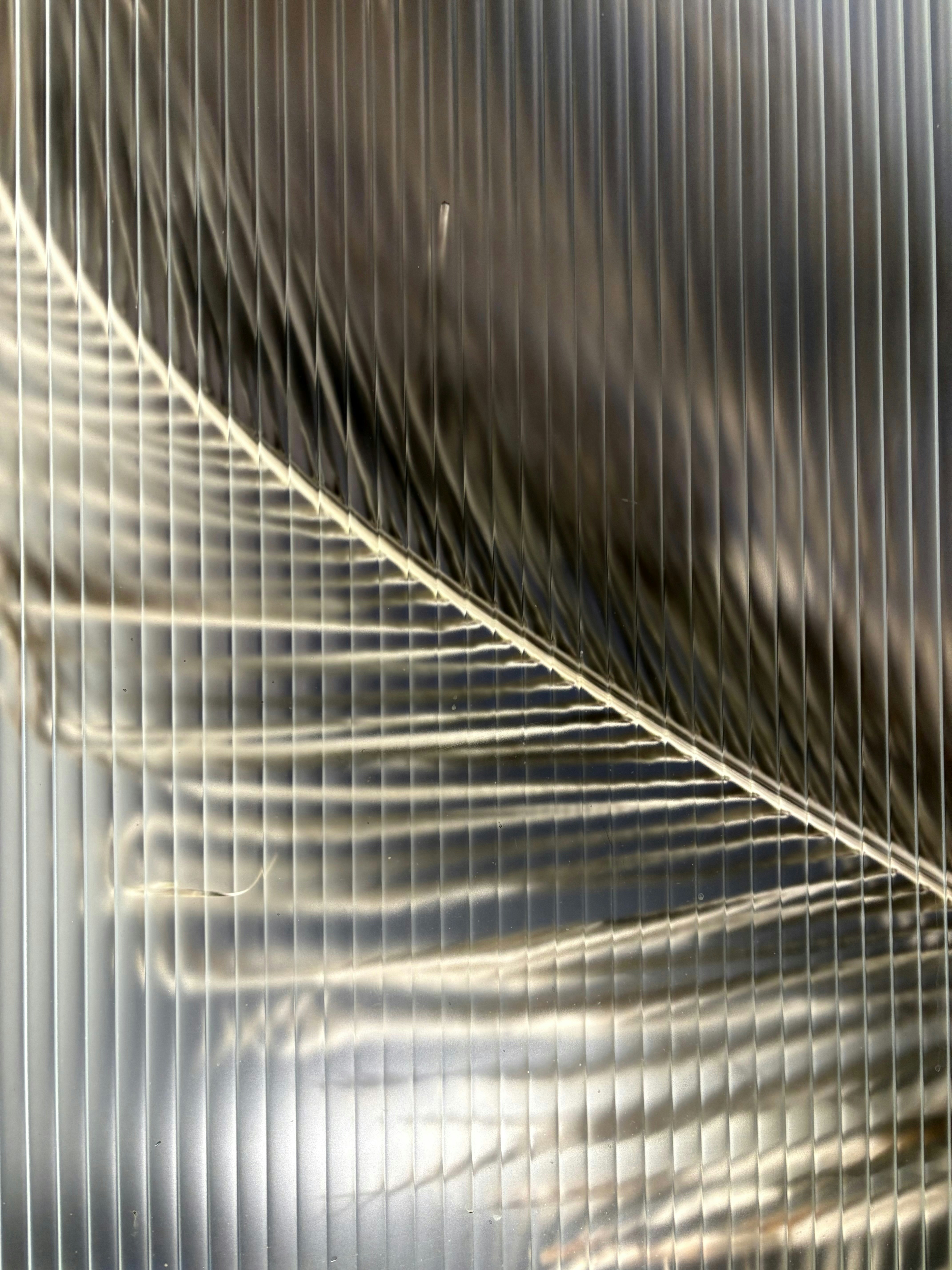 Photo by tashakostyuk