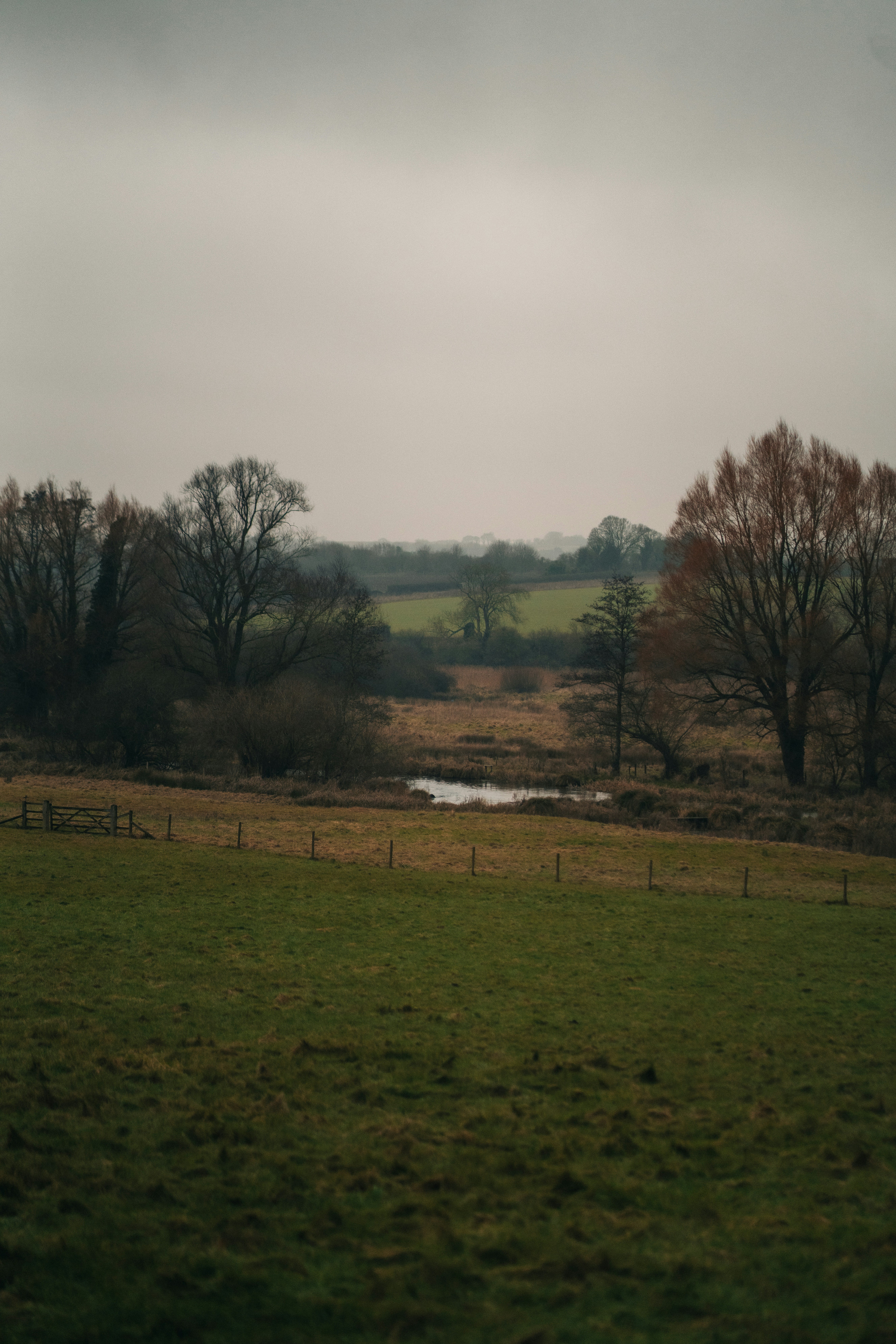 Un campo con un río a lo lejos