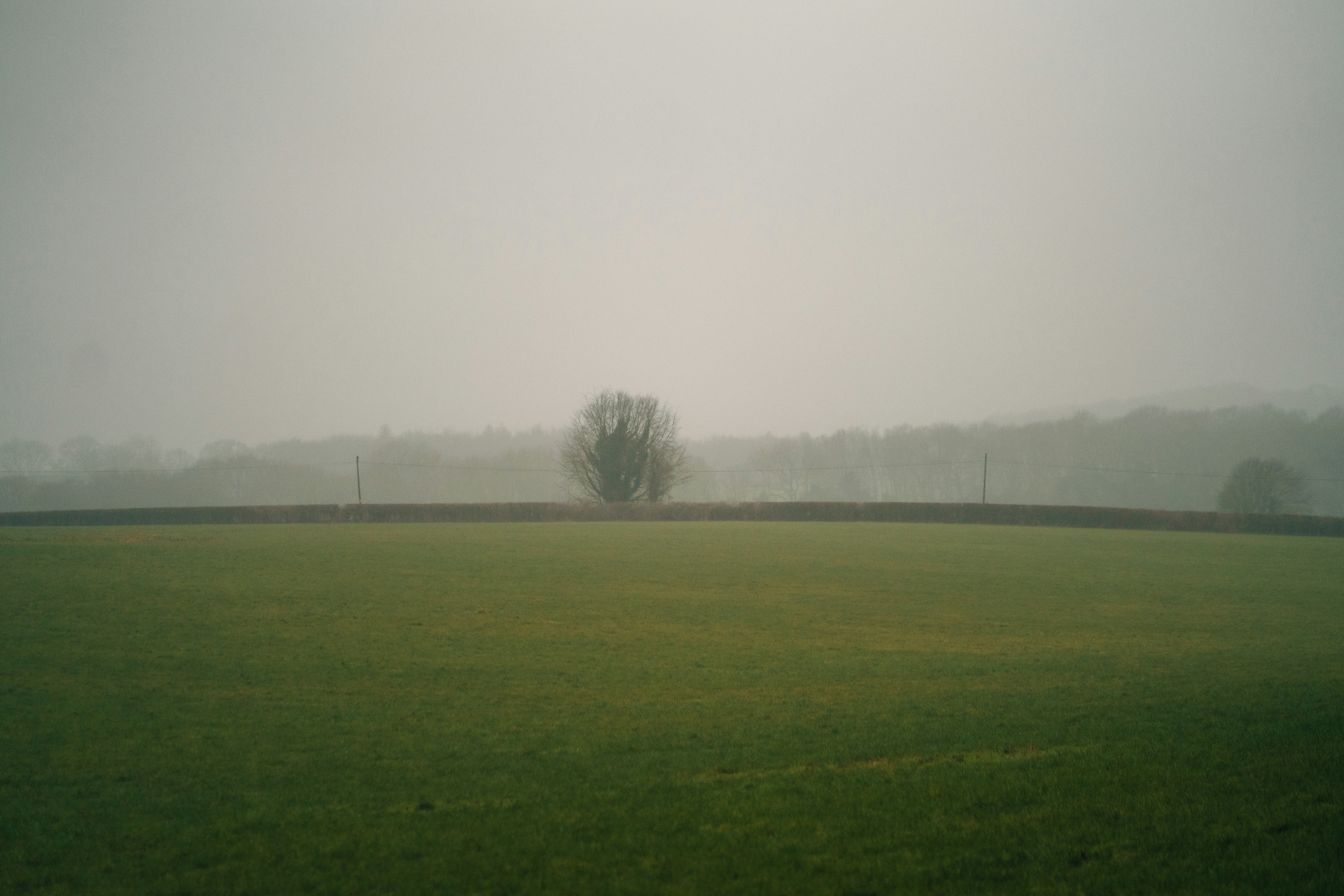 Photo by orangetiephotography