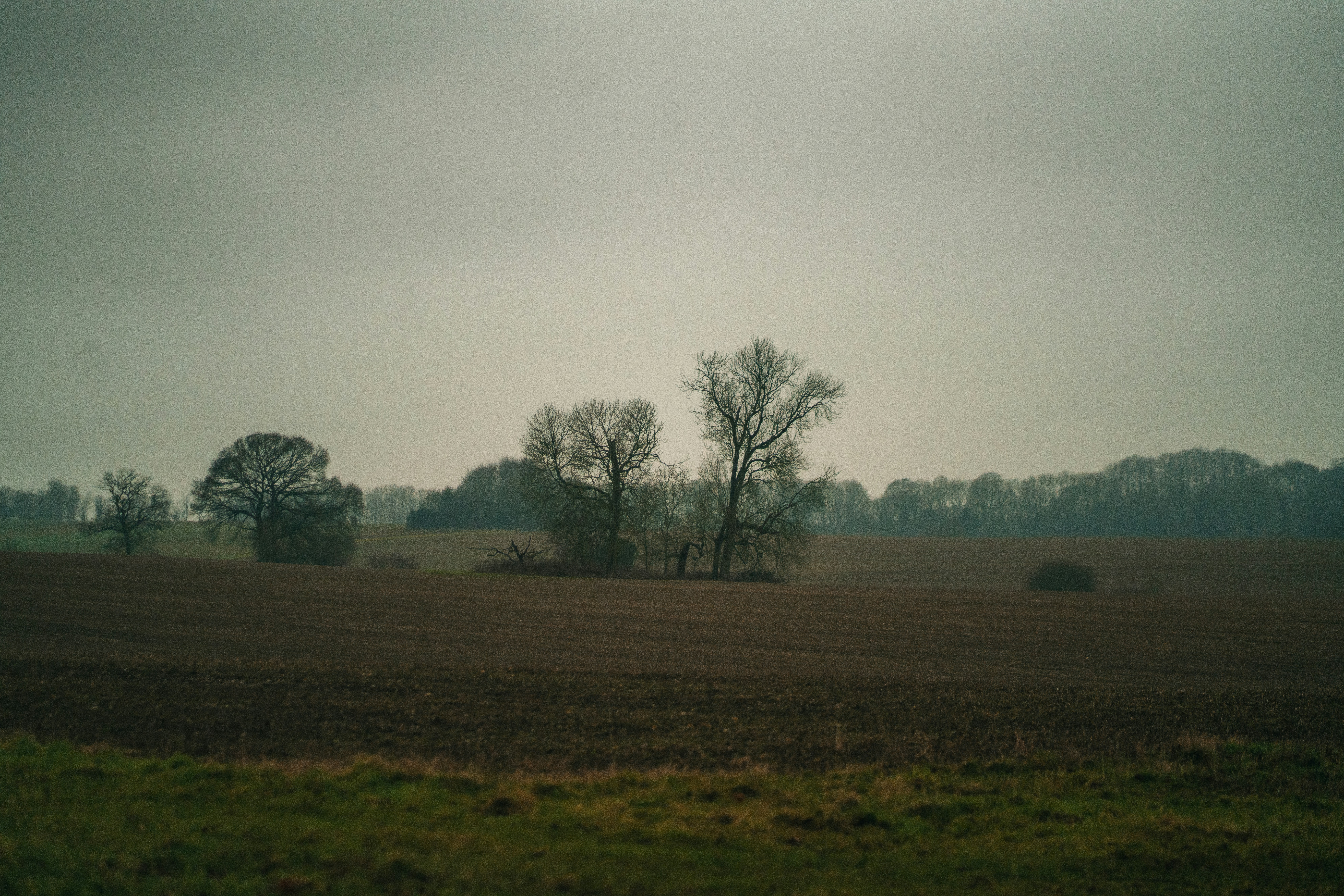 A large field with trees in the distance