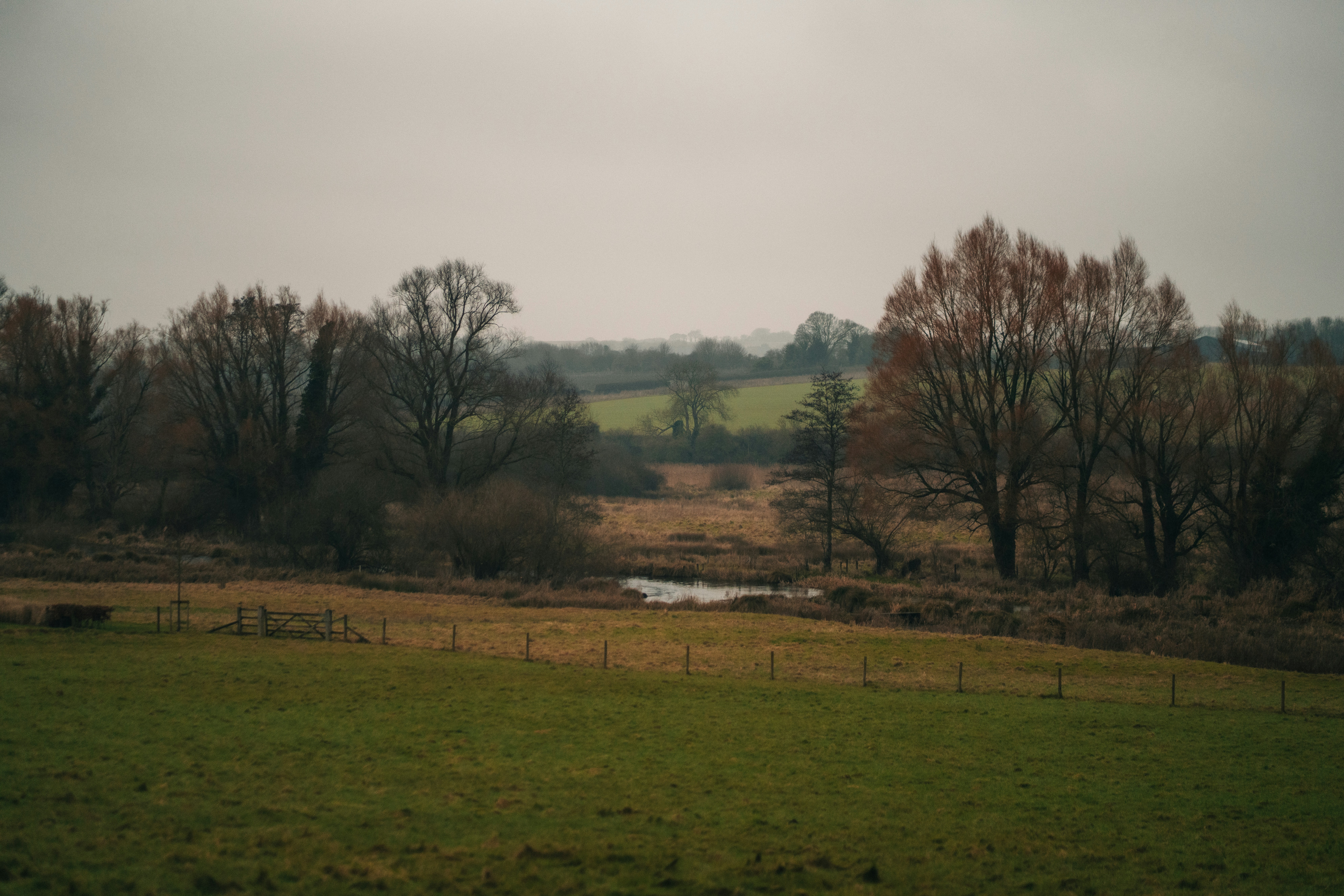 Photo by orangetiephotography