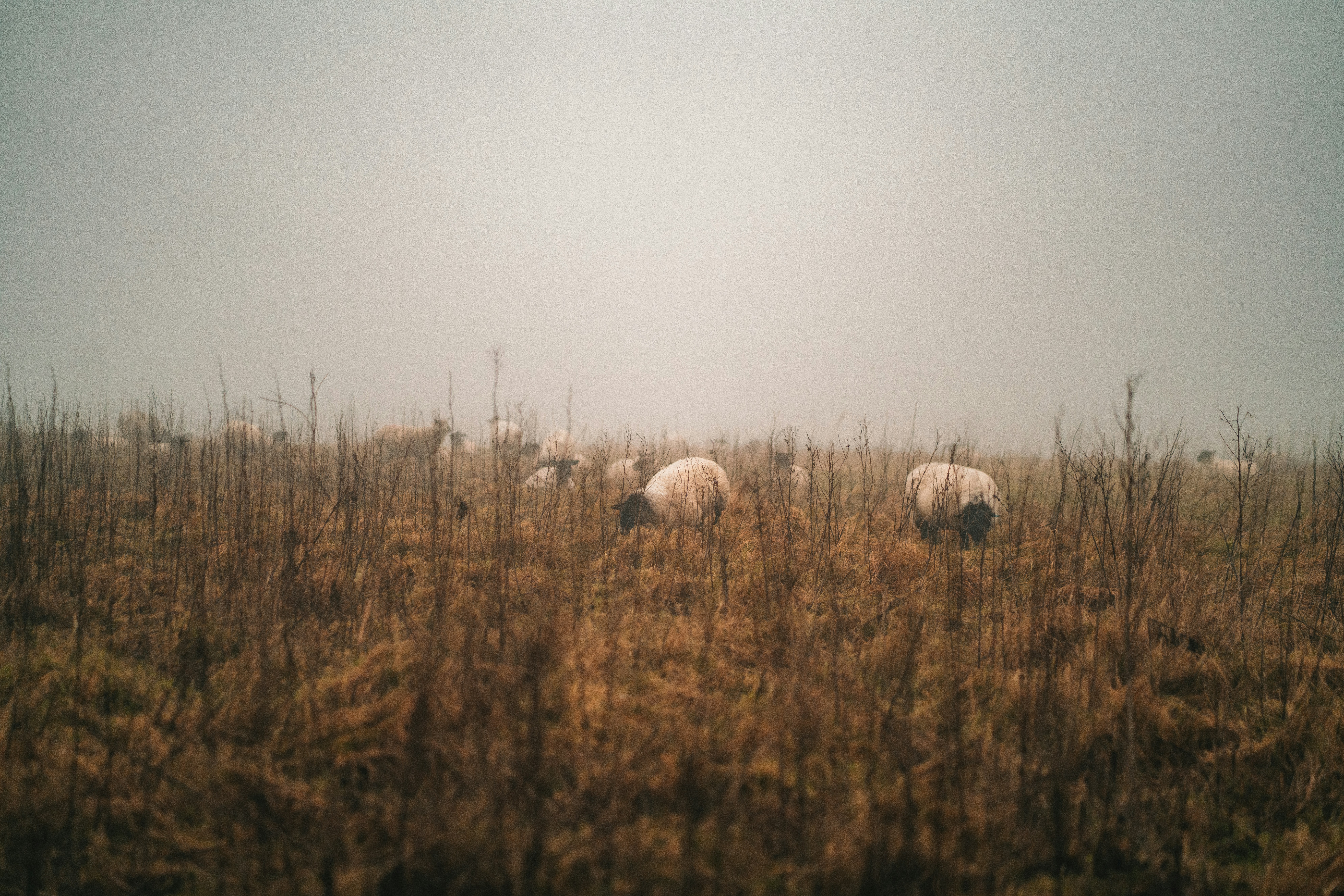 Photo by orangetiephotography