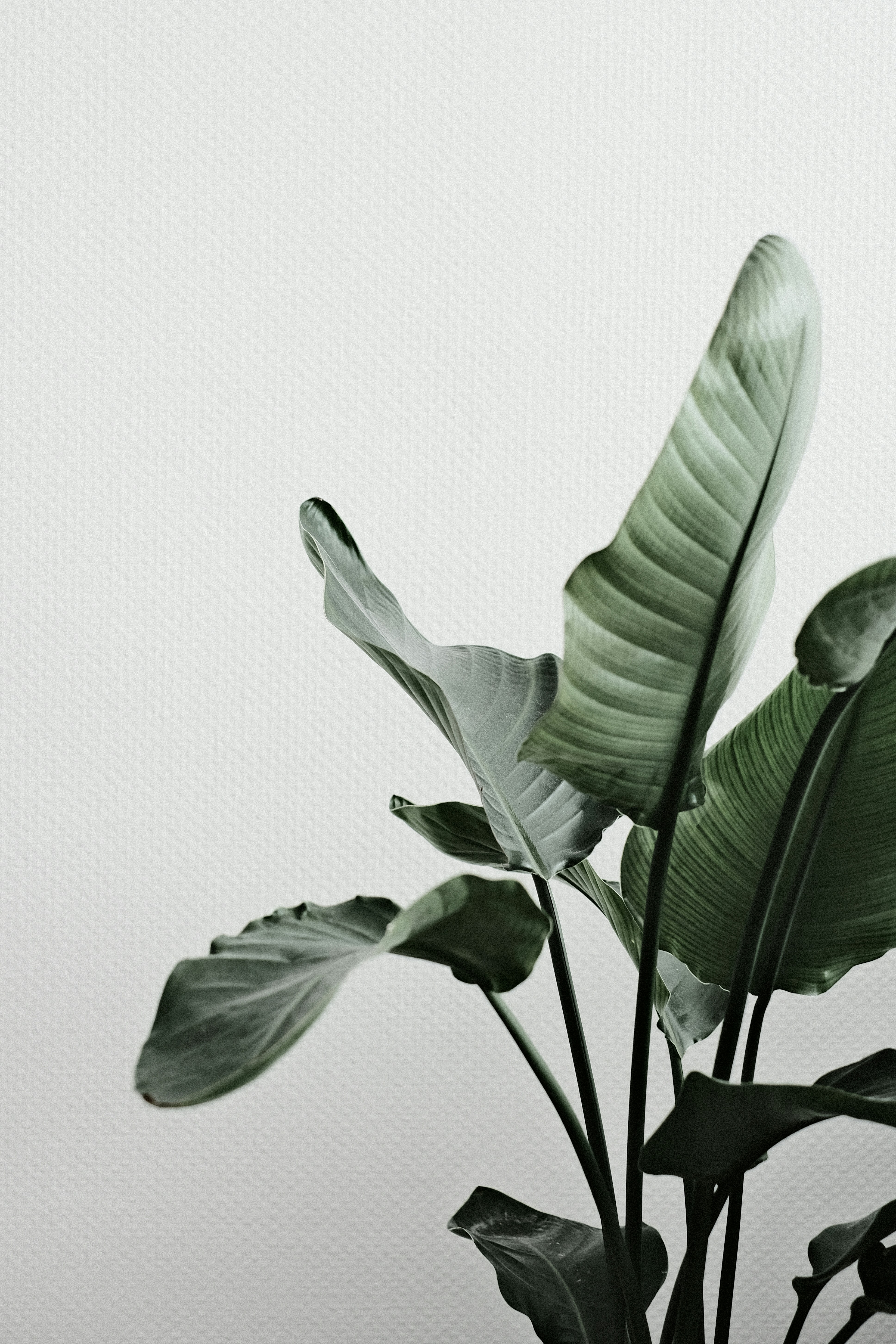 Photo by visualsbying