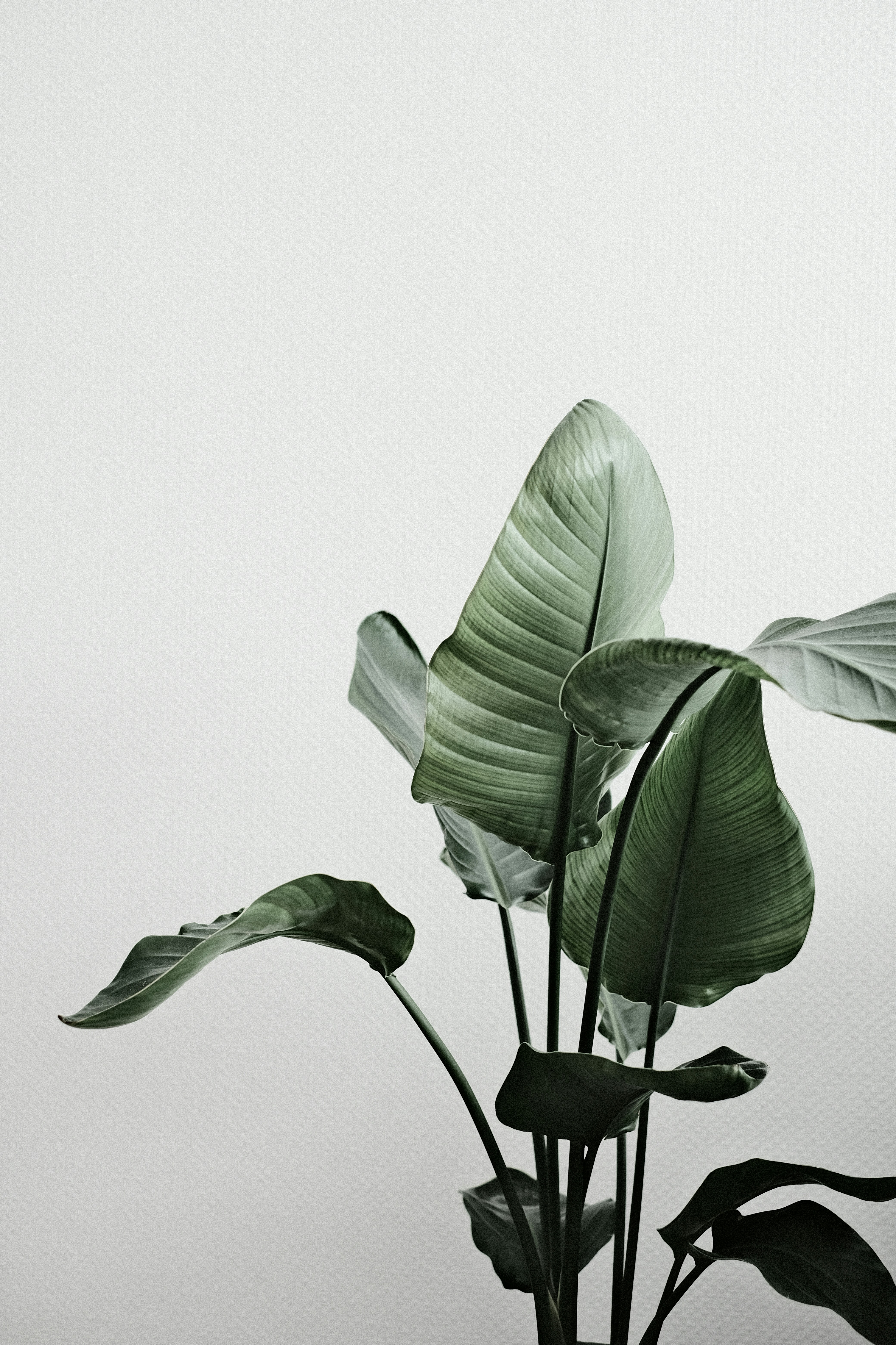 Photo by visualsbying