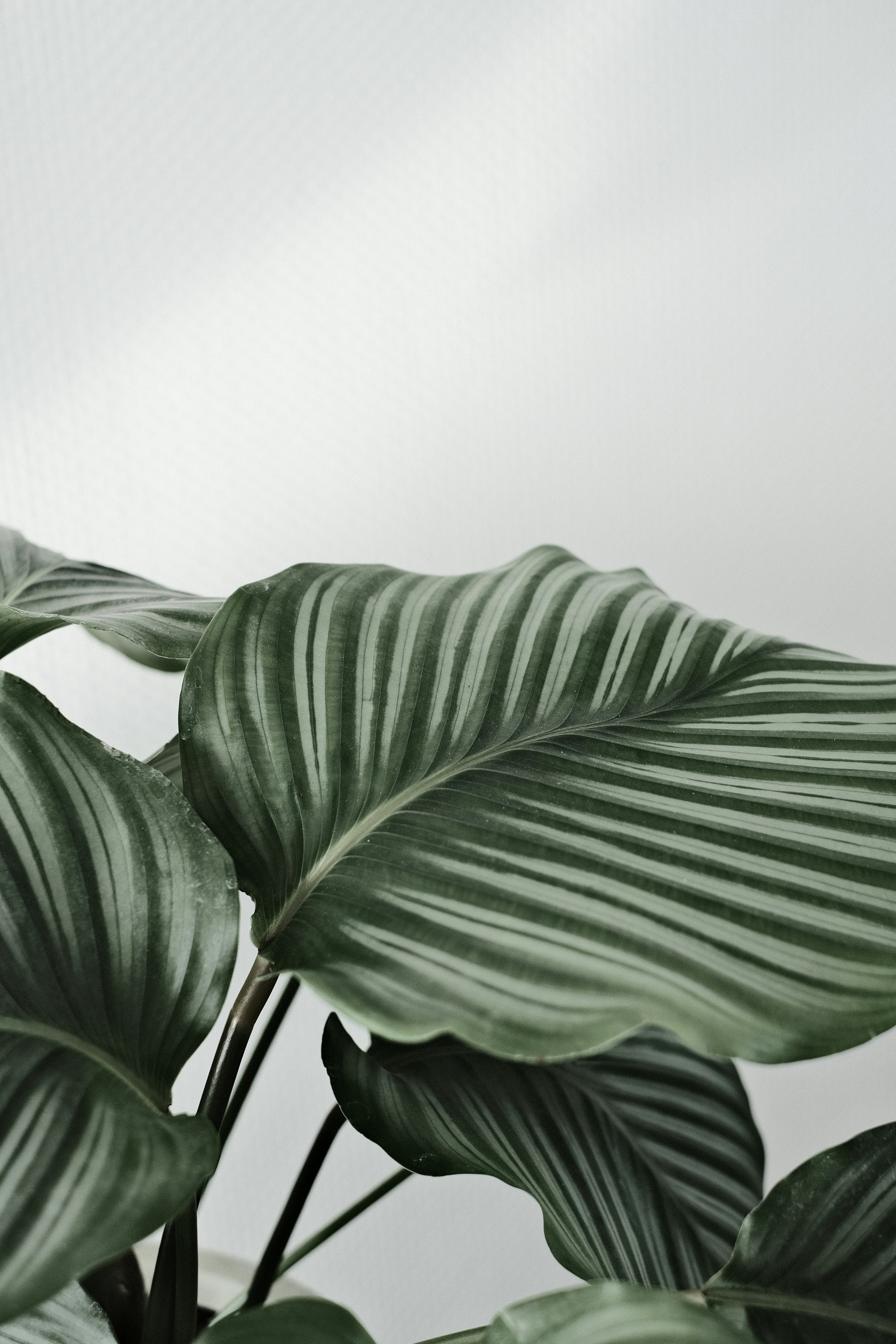 Photo by visualsbying