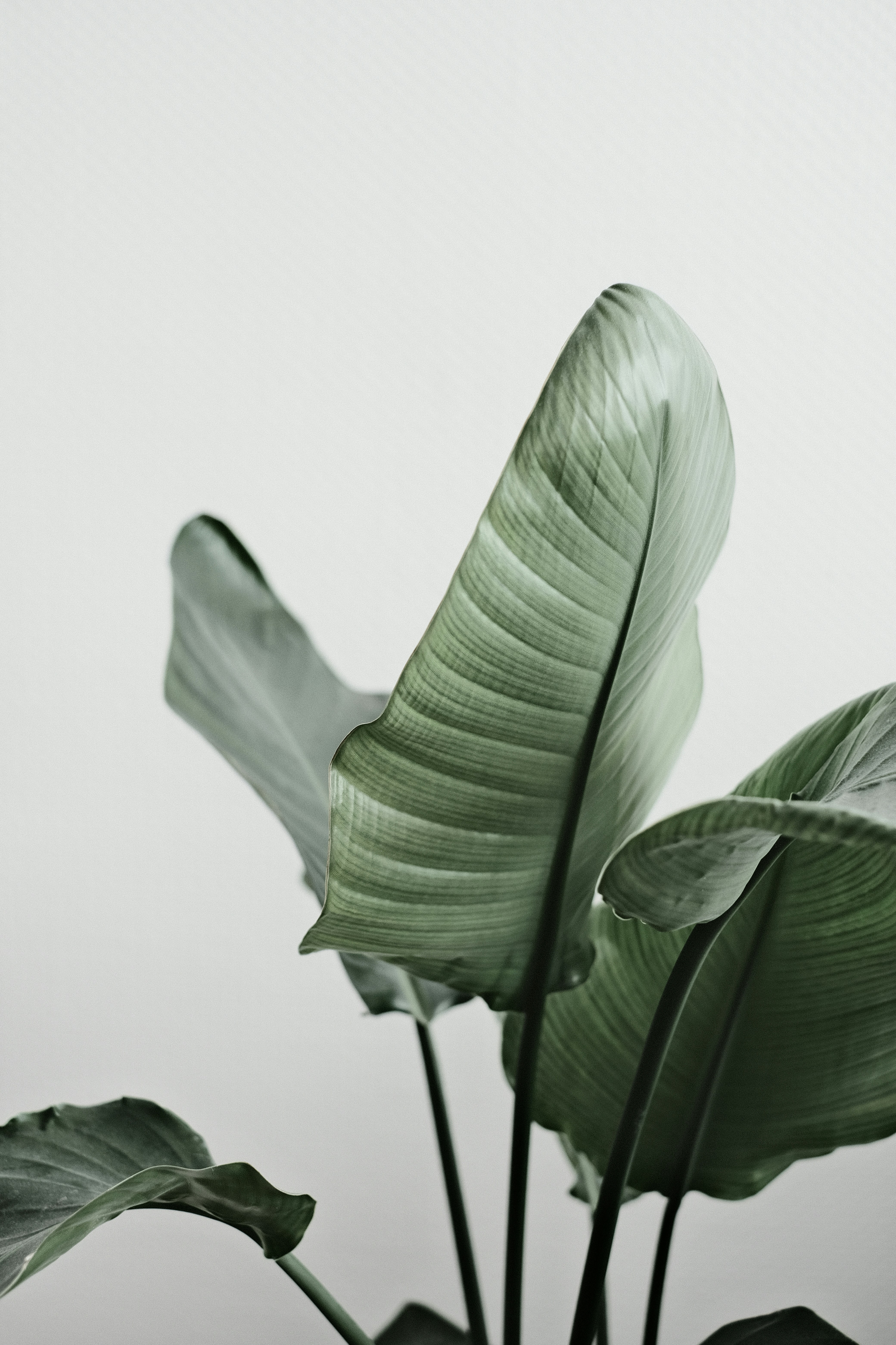 Photo by visualsbying