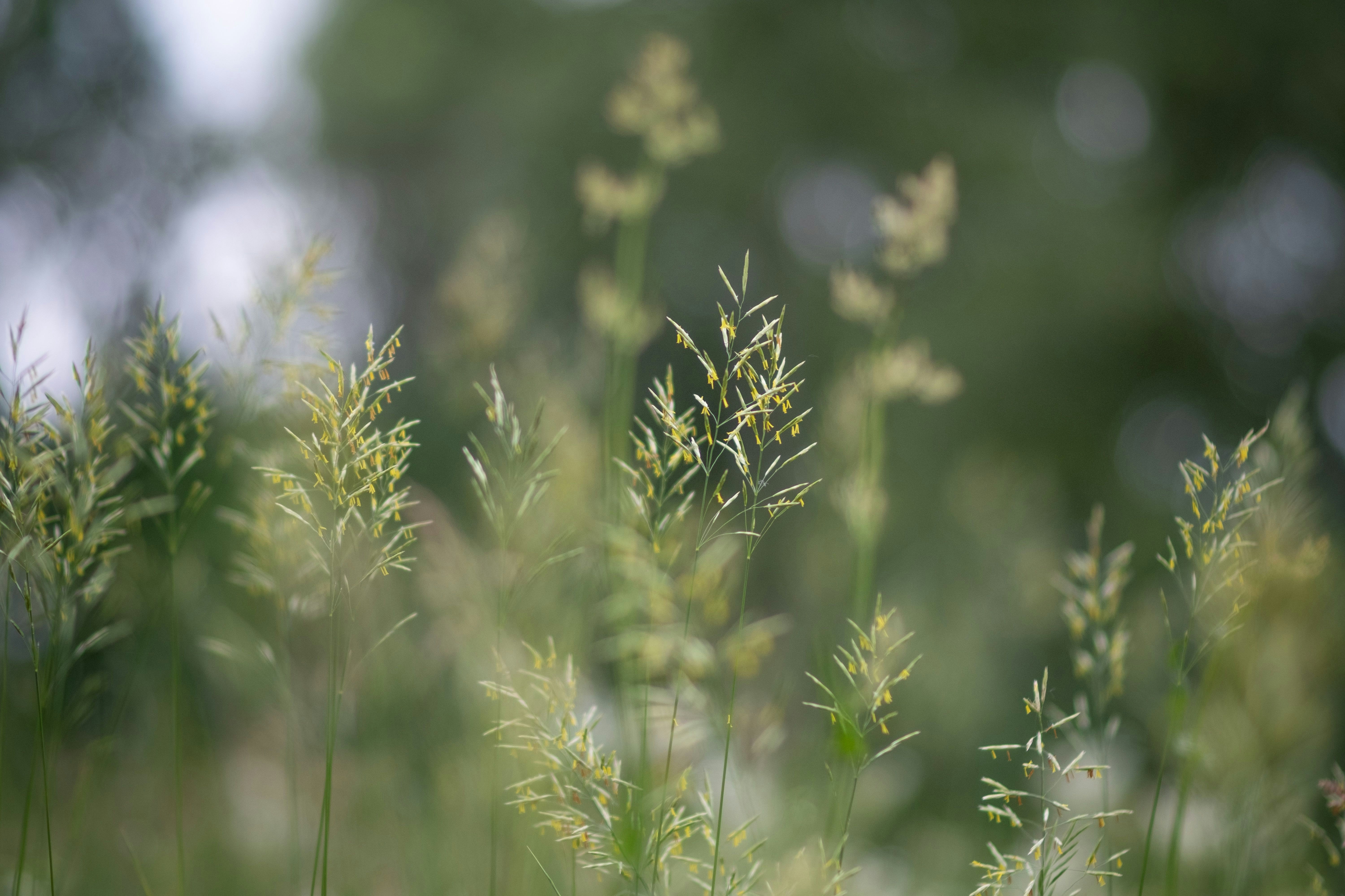 Photo by sevencolors