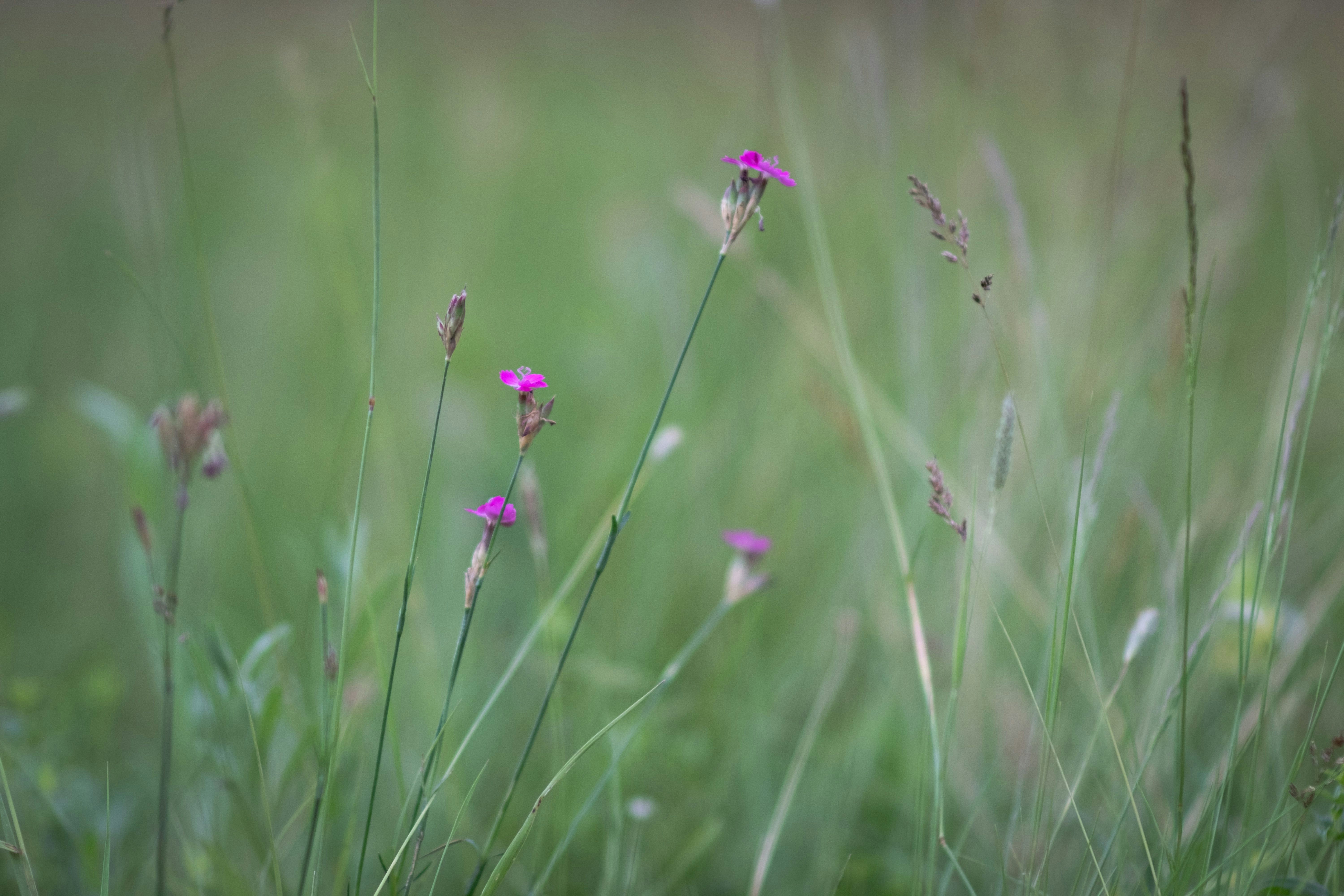 Photo by sevencolors