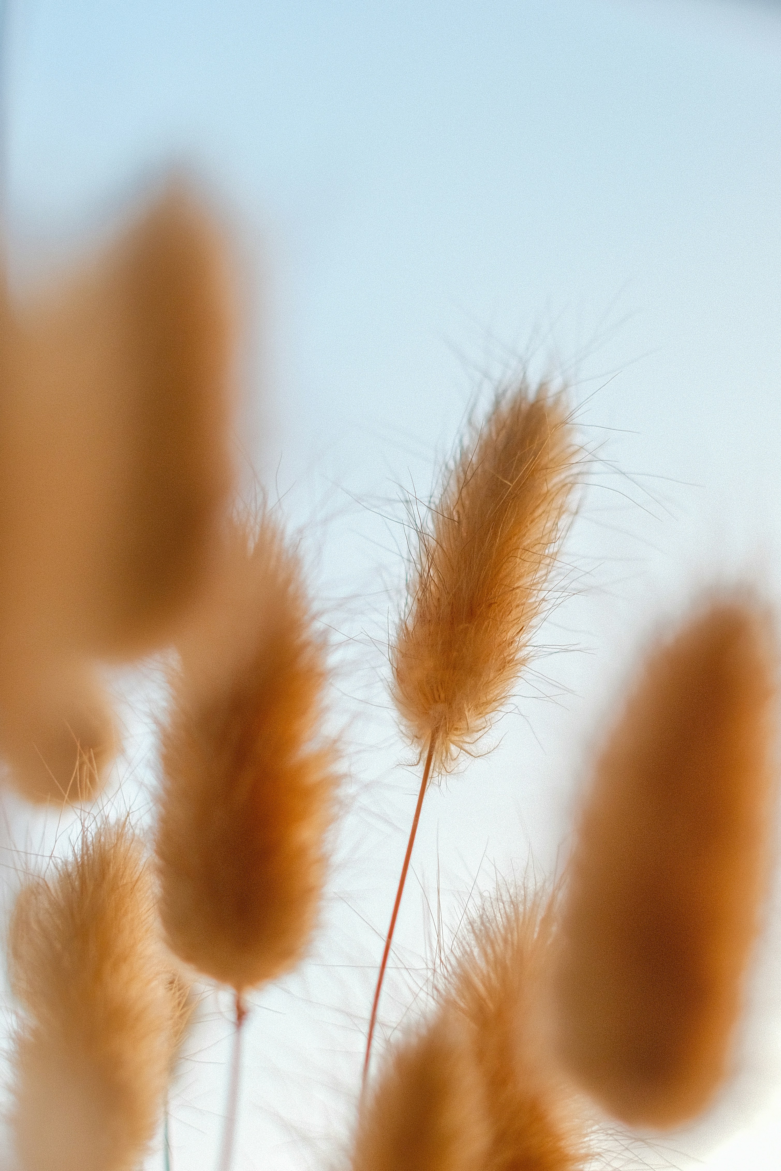 Photo by visualsbying