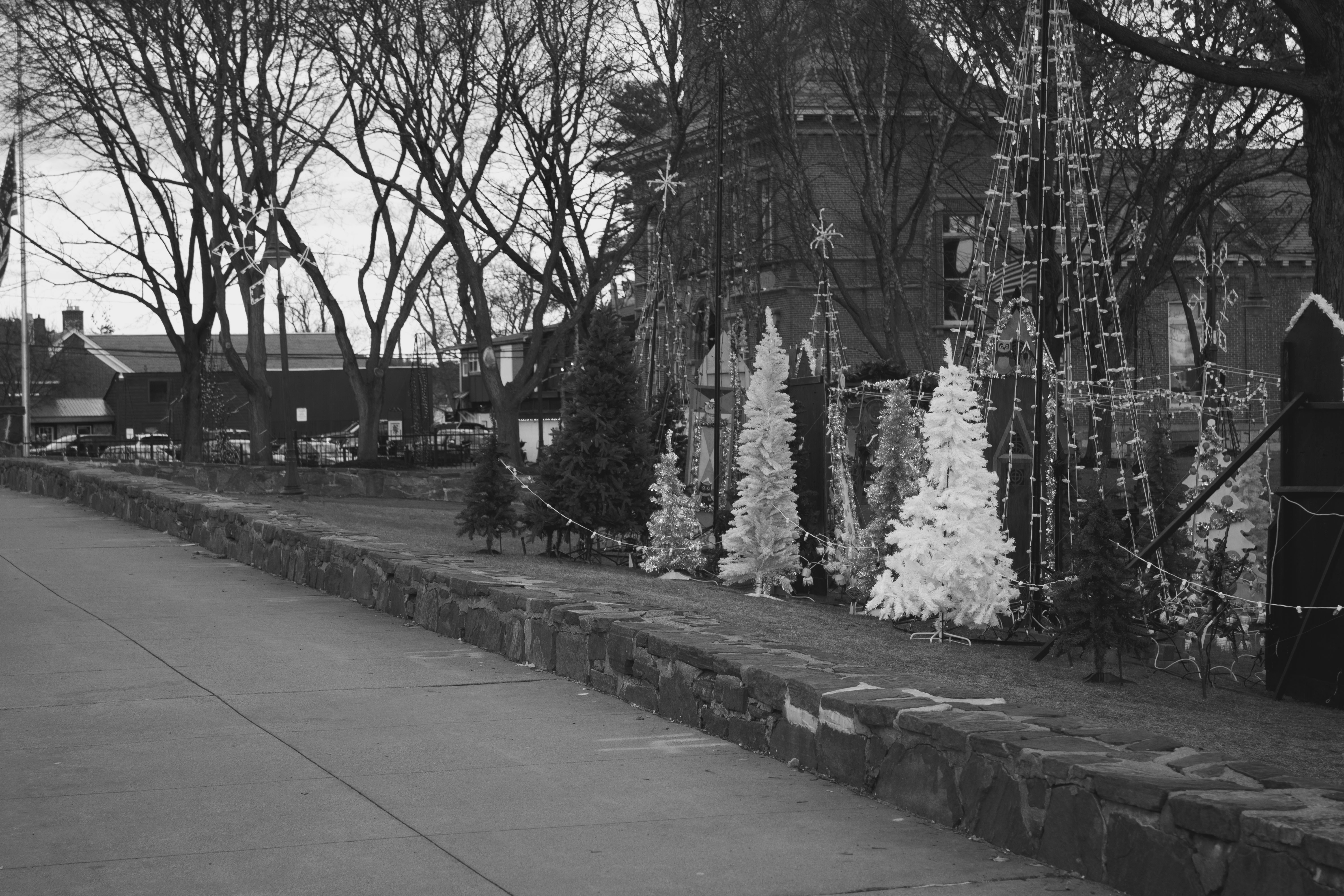 Photo by ivan_aviles