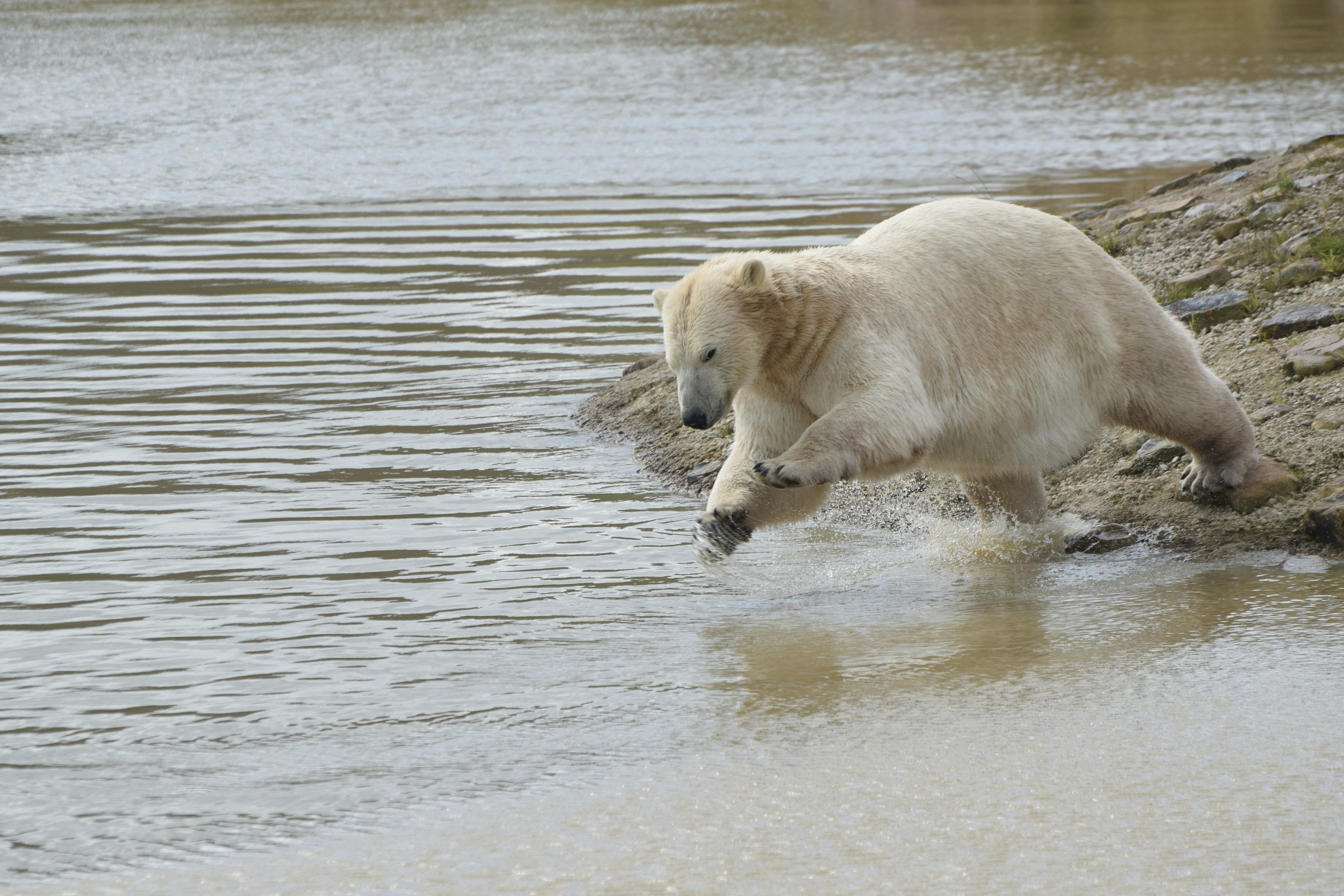 직장인 필수! 4월 출근룩 스타일링 꿀팁