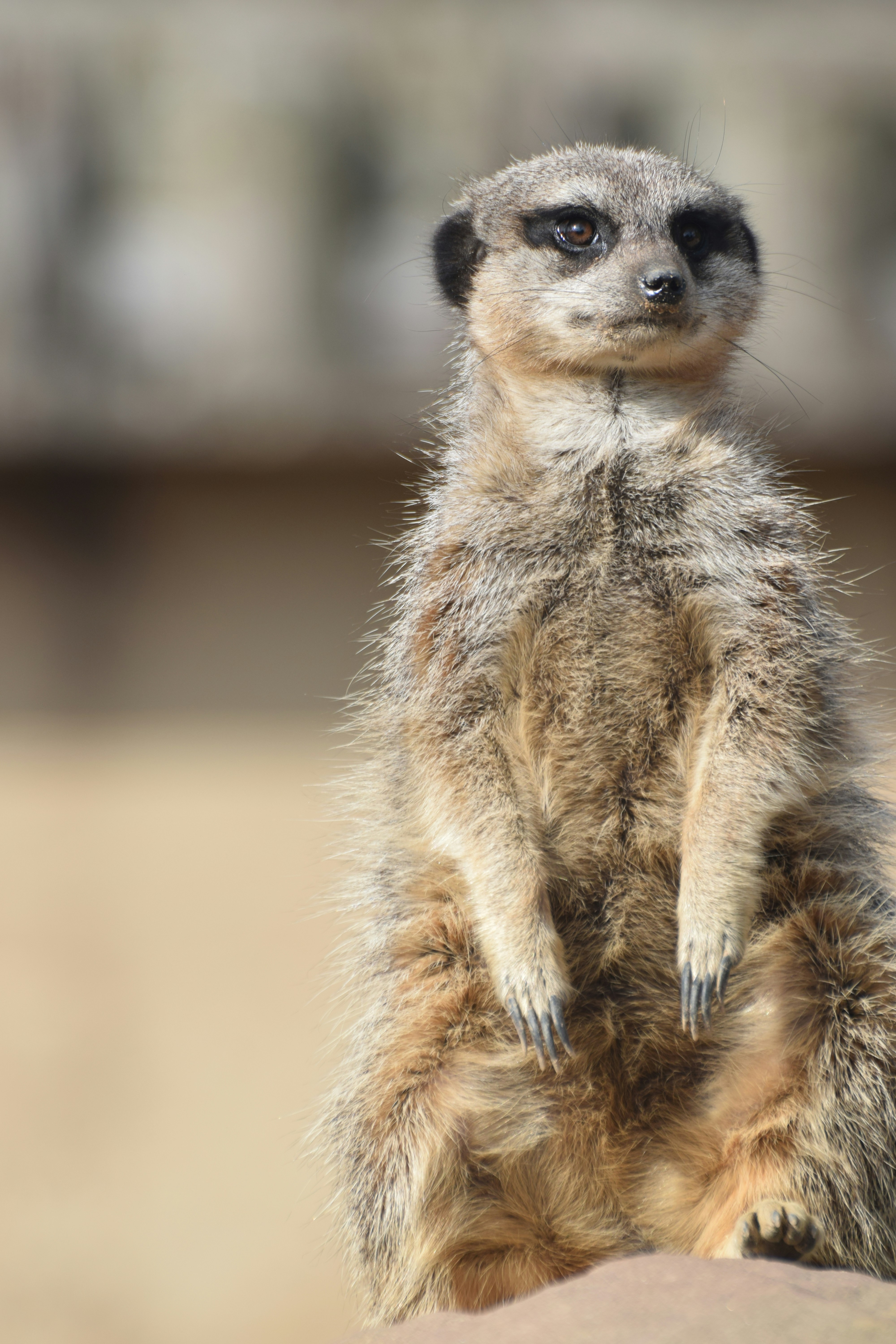 Photo by beardynature