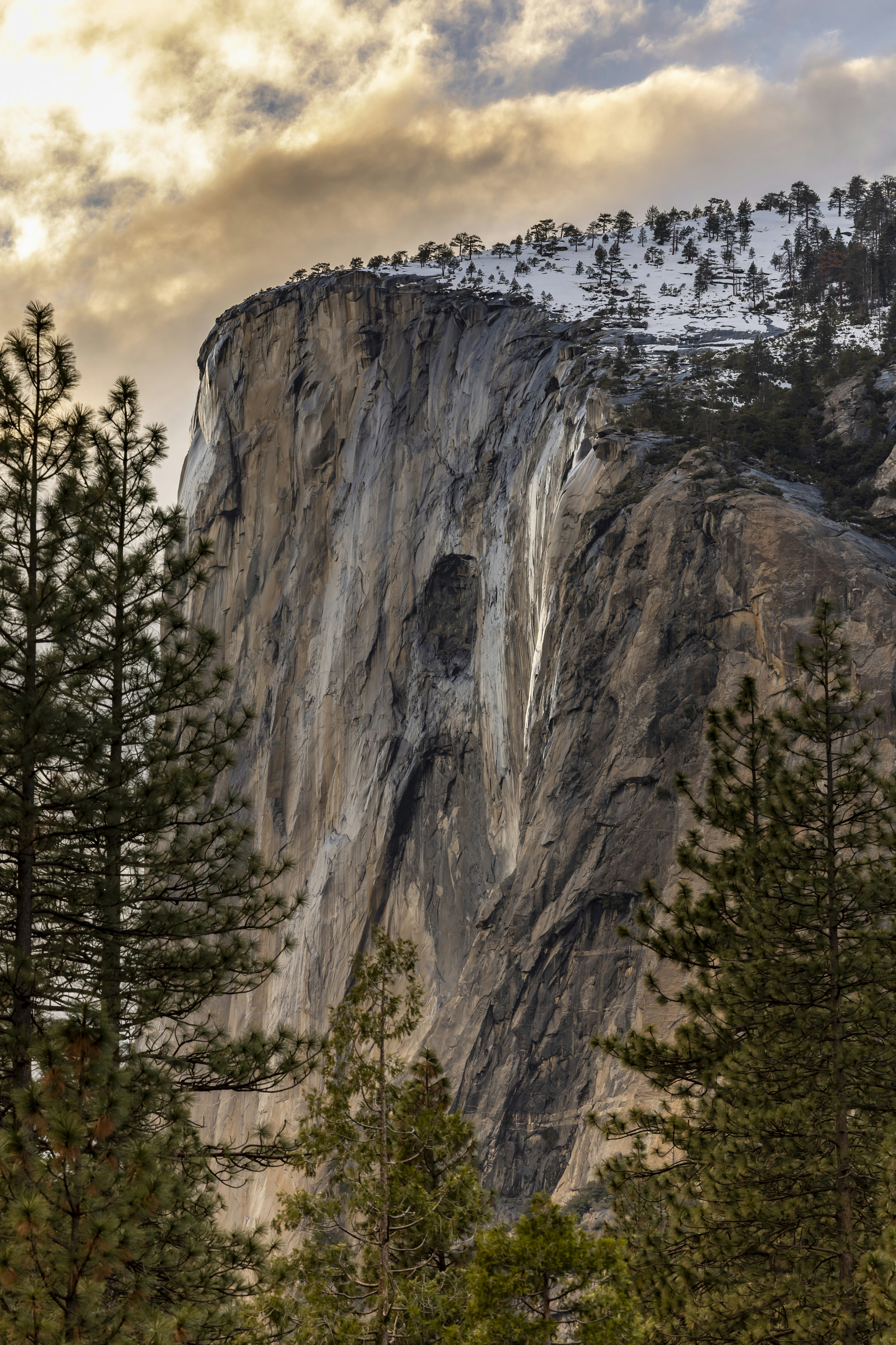 Photo by leo_visions_