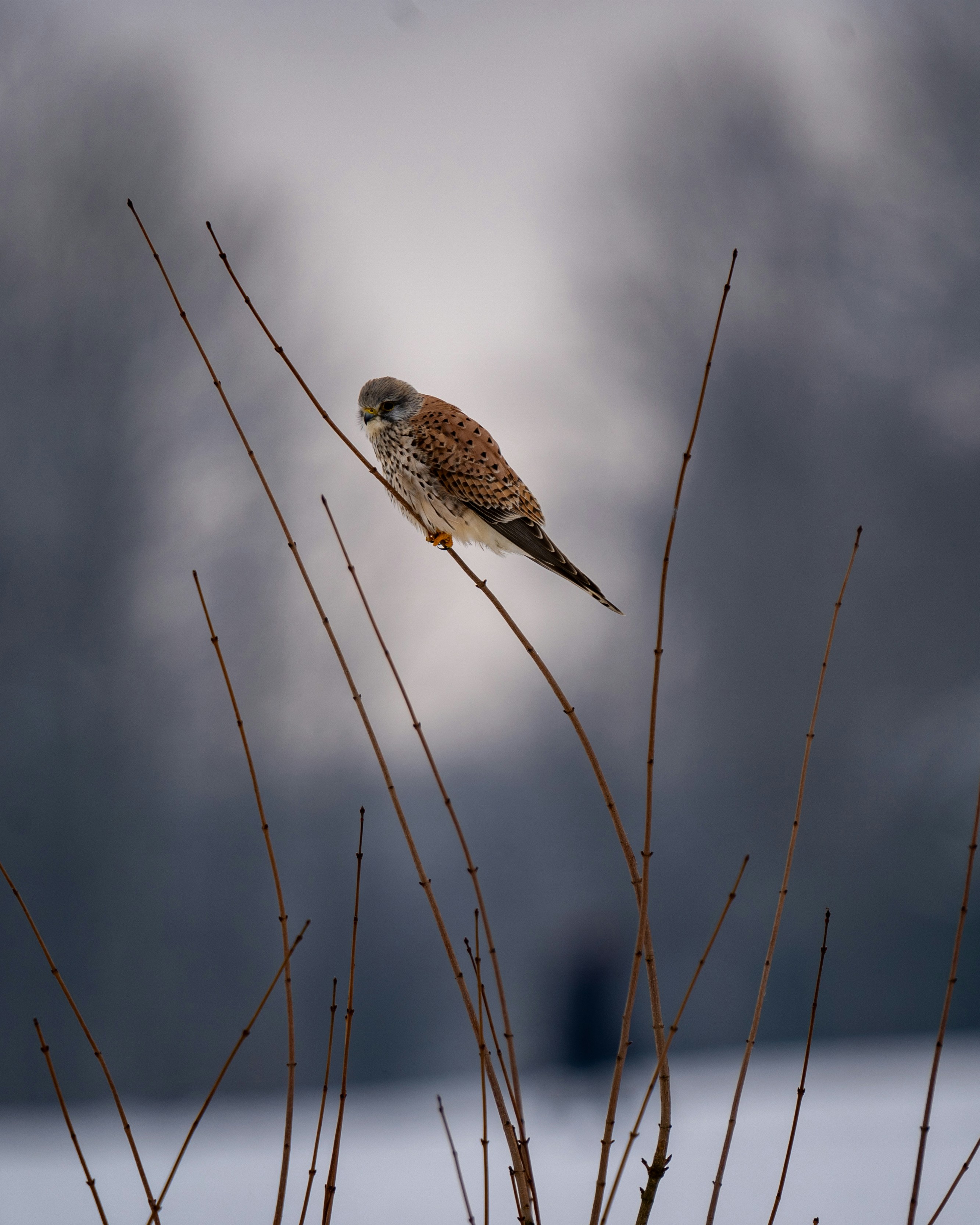 Photo by mmvisualstories