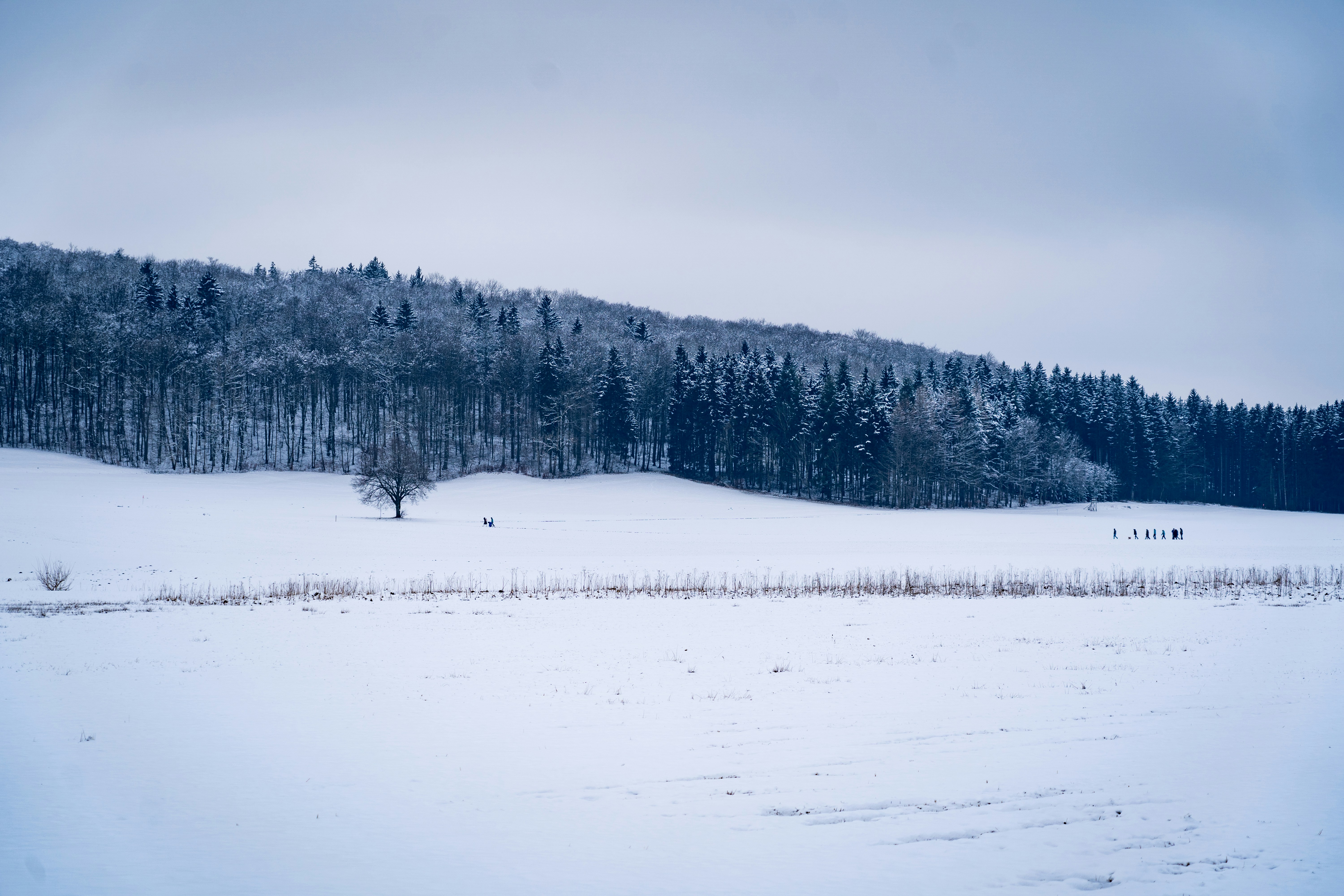 Photo by mmvisualstories