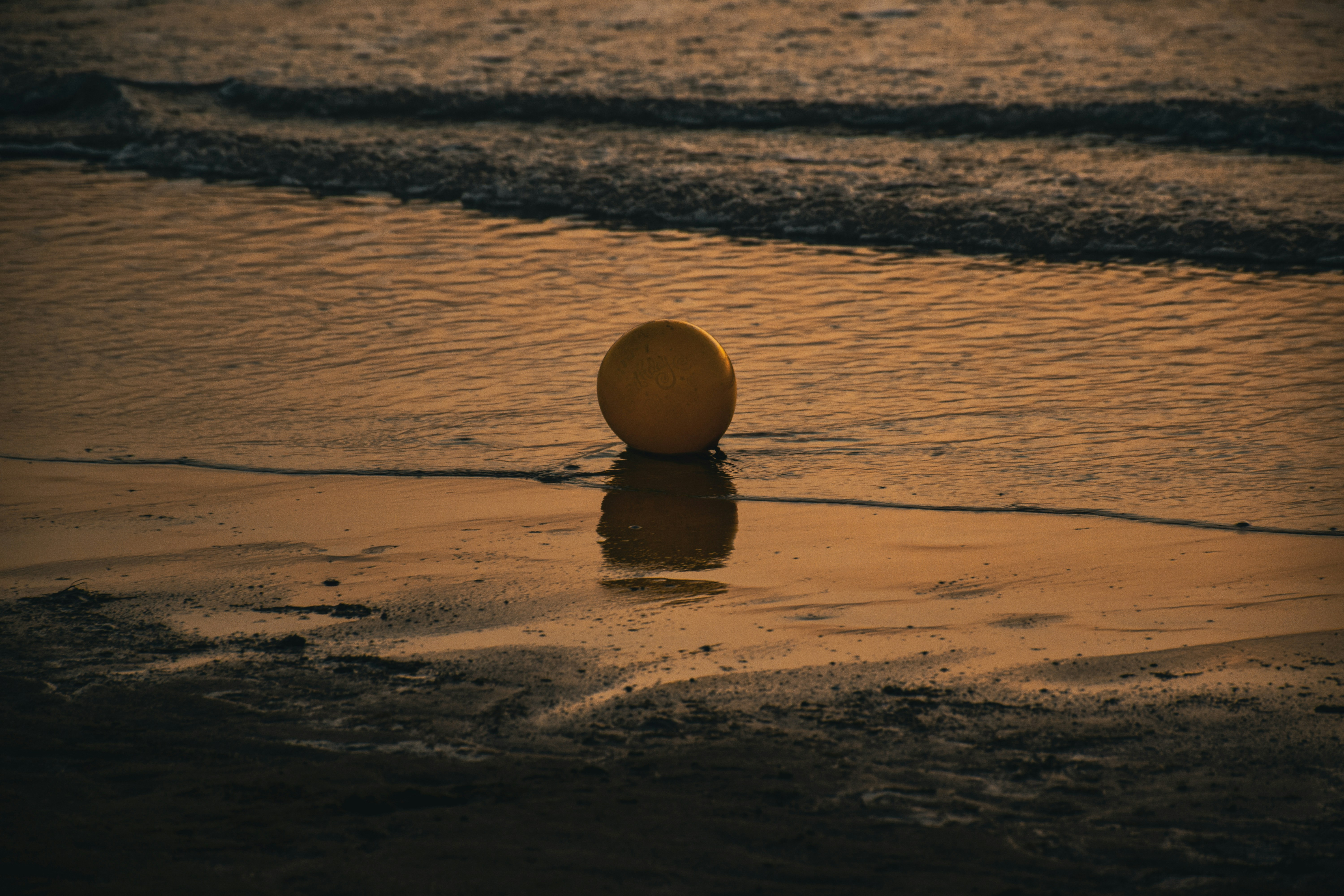Bushehr, Iran - None