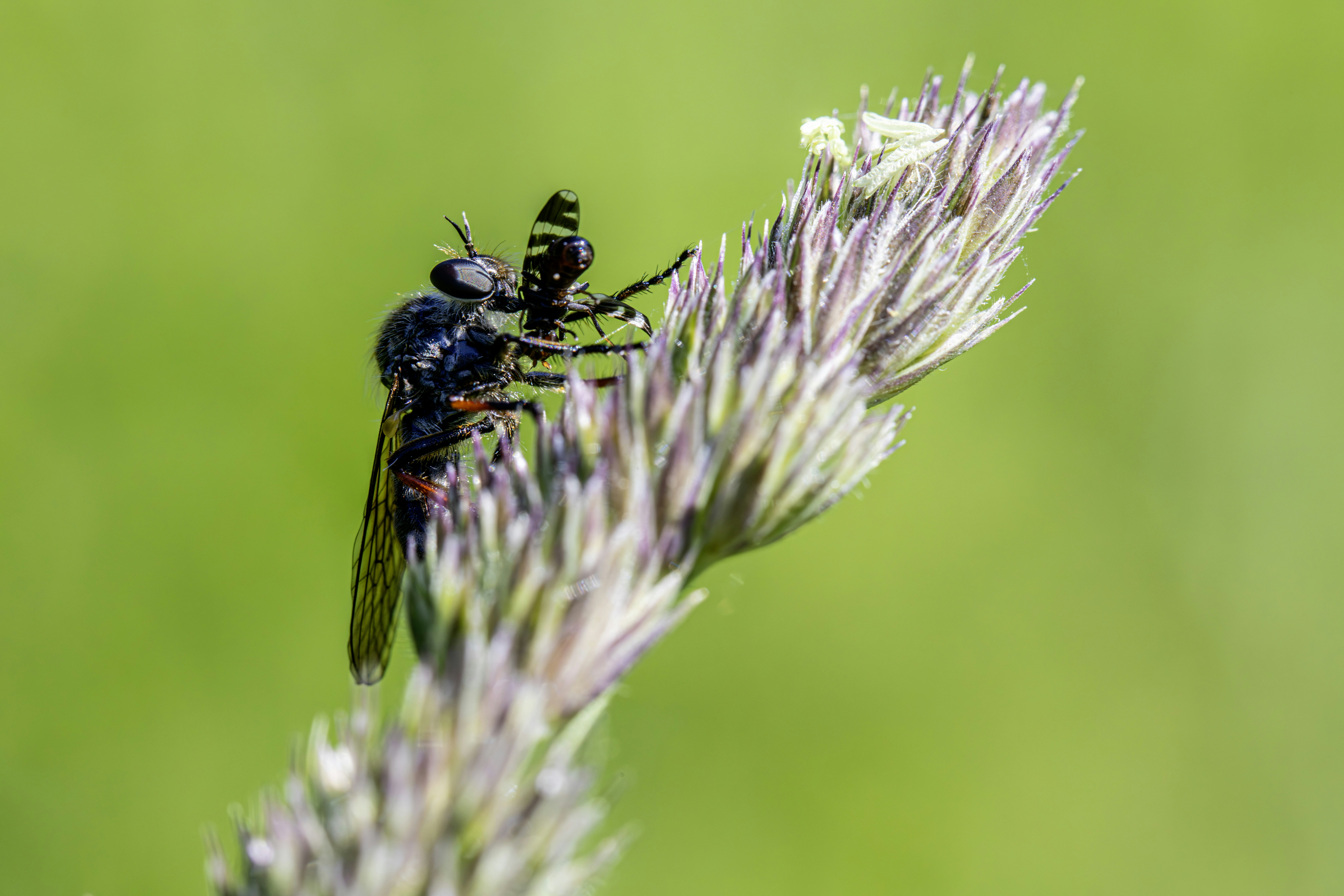 Photo by erik_karits