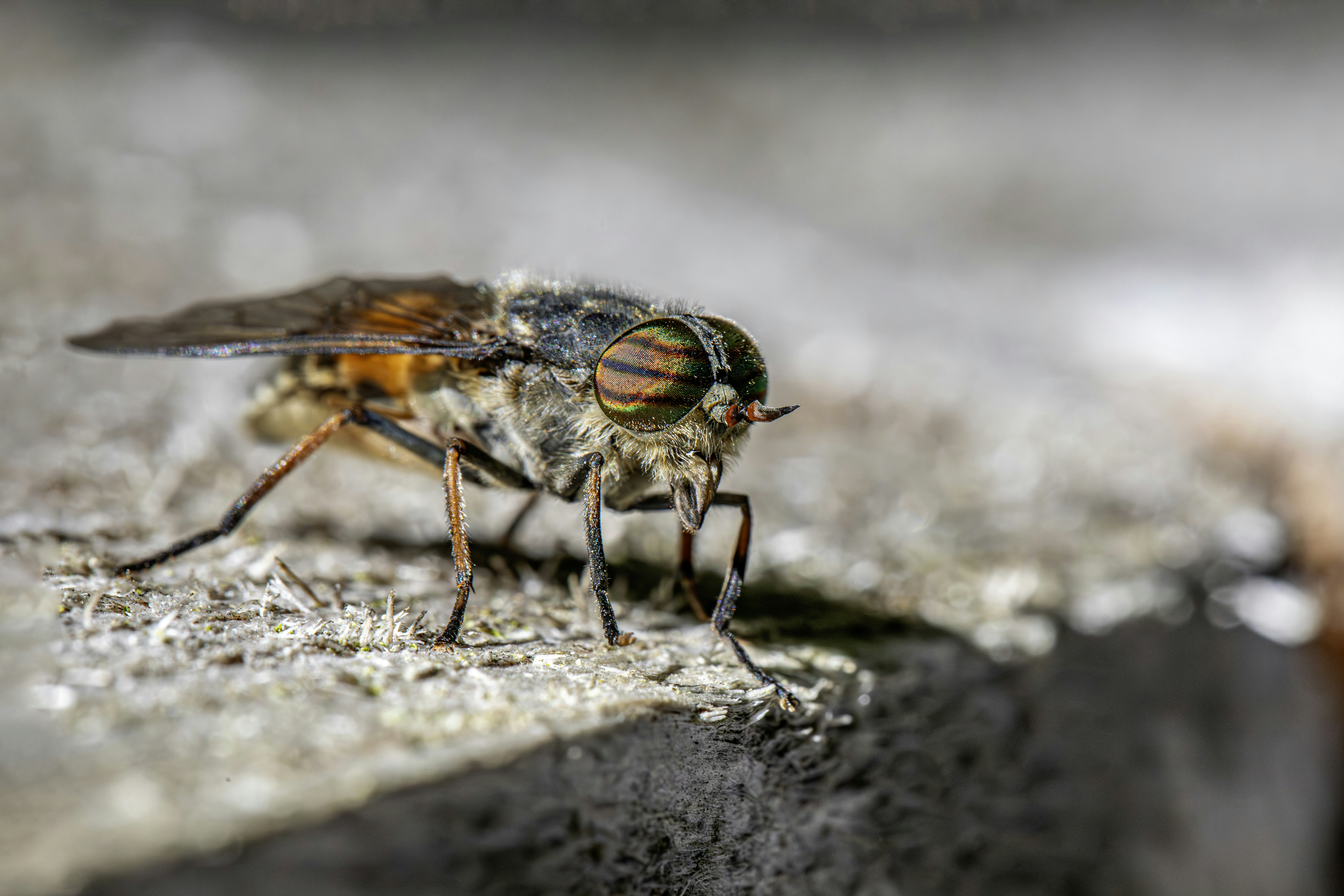 Photo by erik_karits