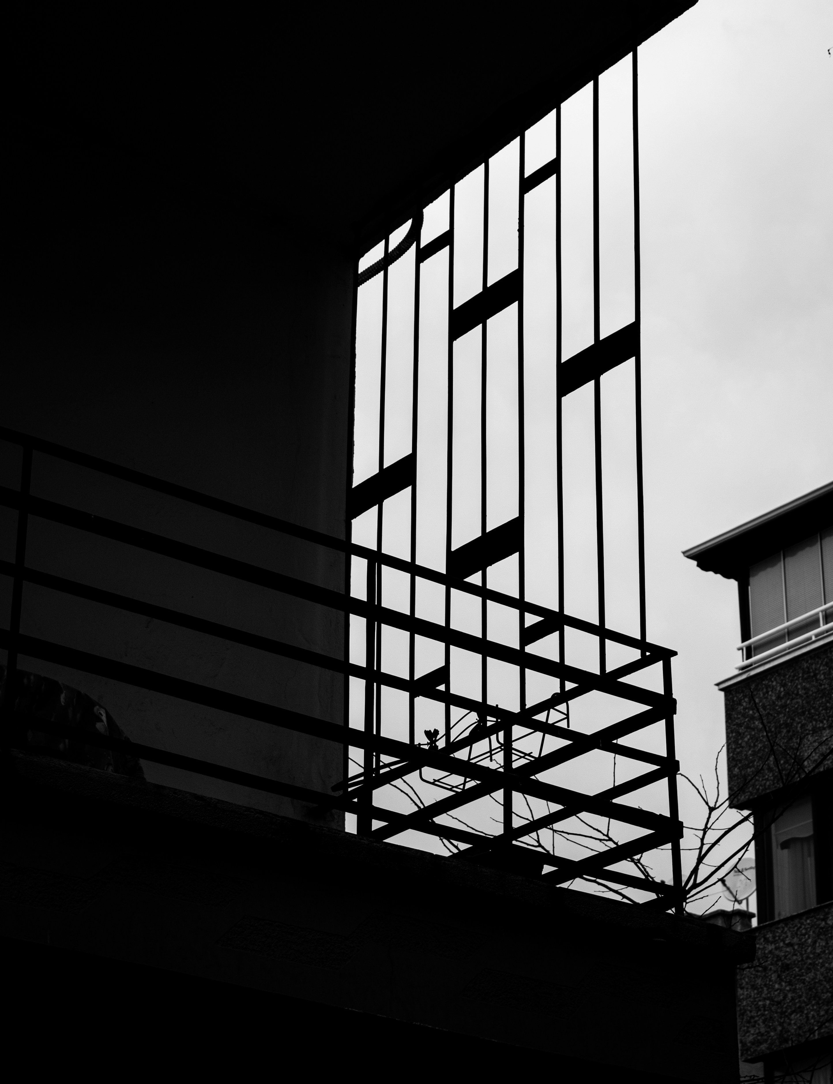 Photo by furkandemir