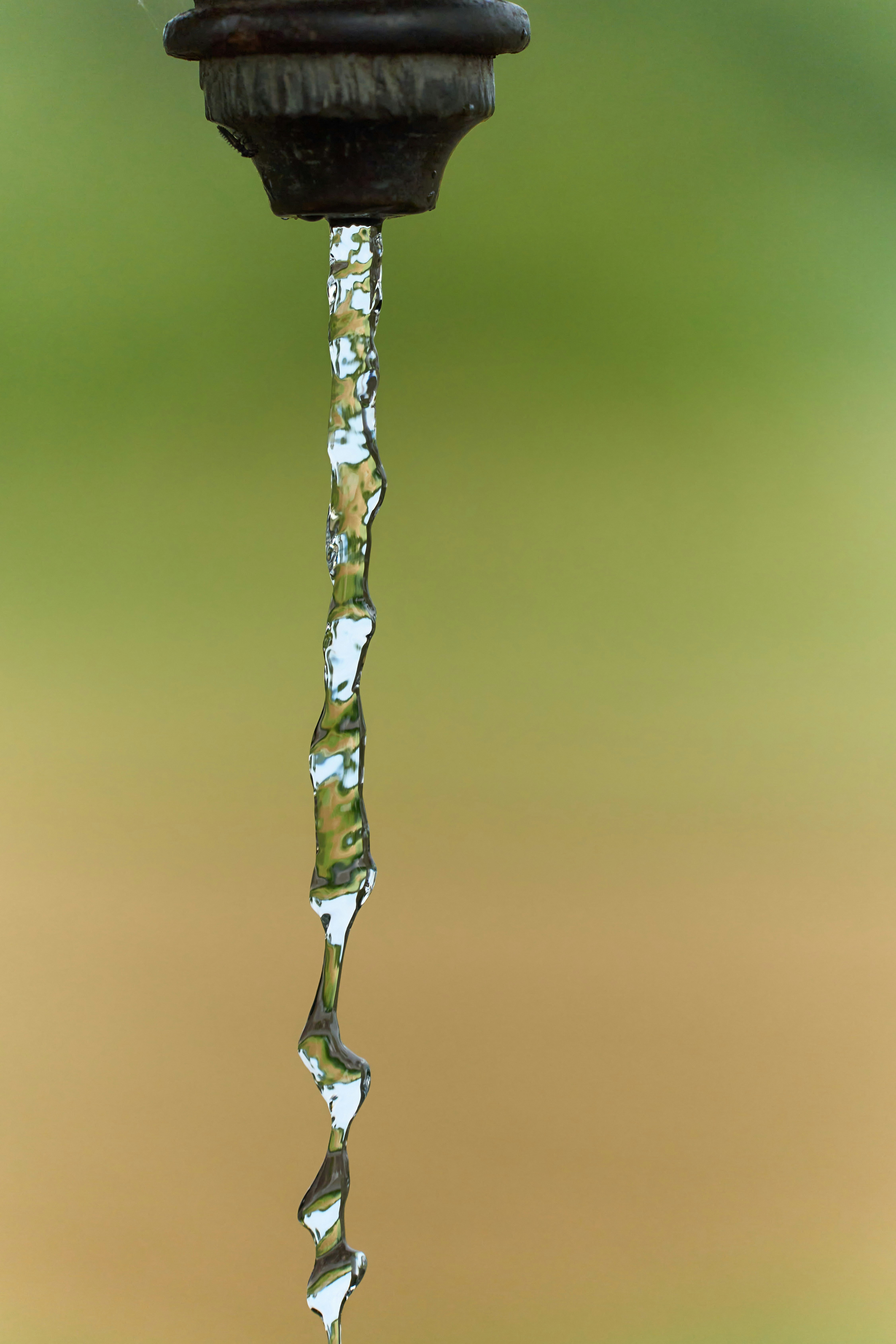 Photo by wolfgang_hasselmann