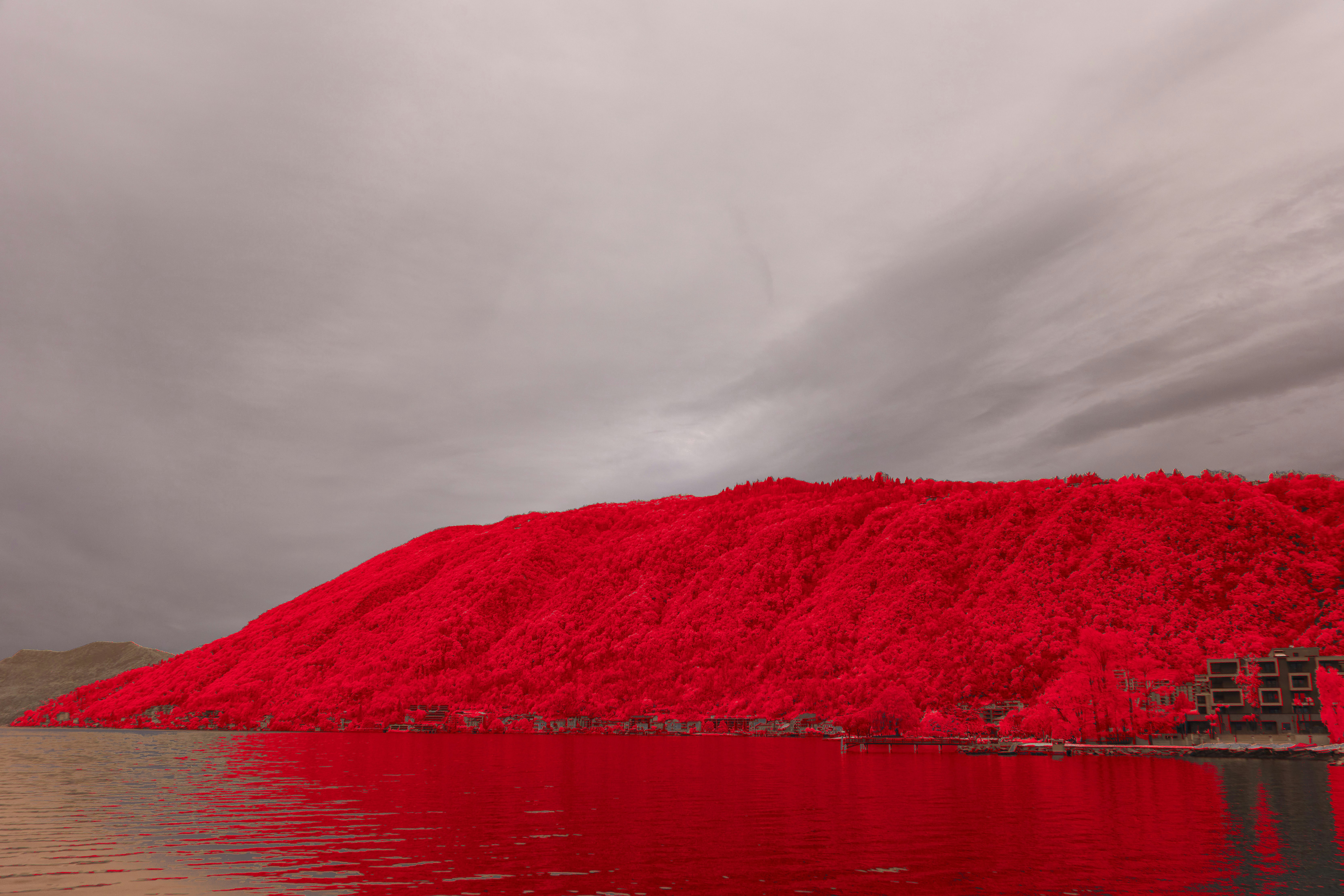 Photo by wolfgang_hasselmann