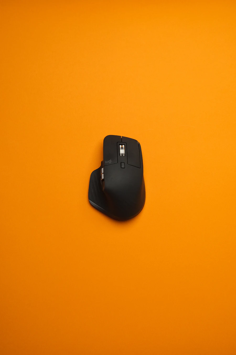 Souris sur fond orange
