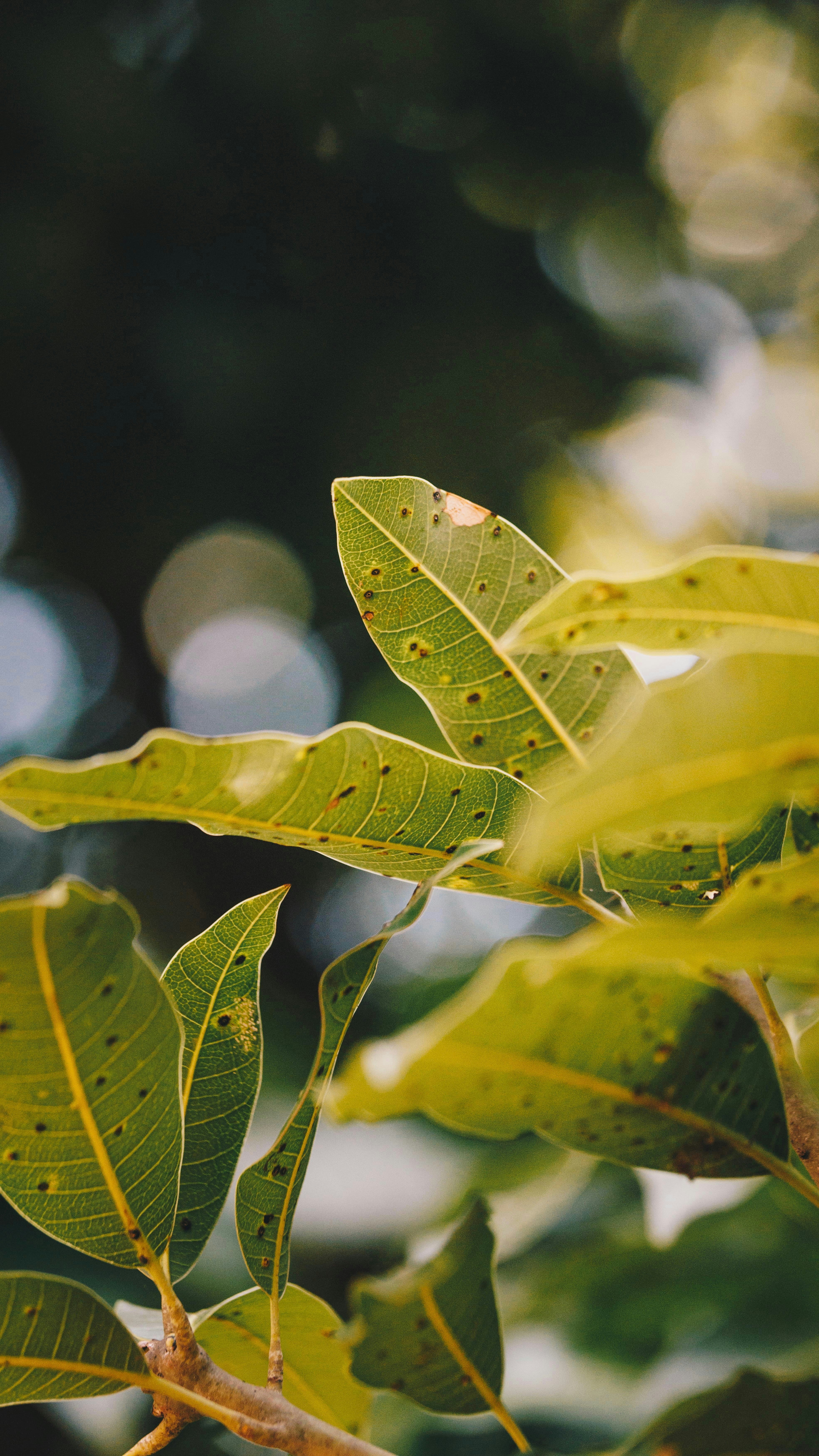 Photo by storywright