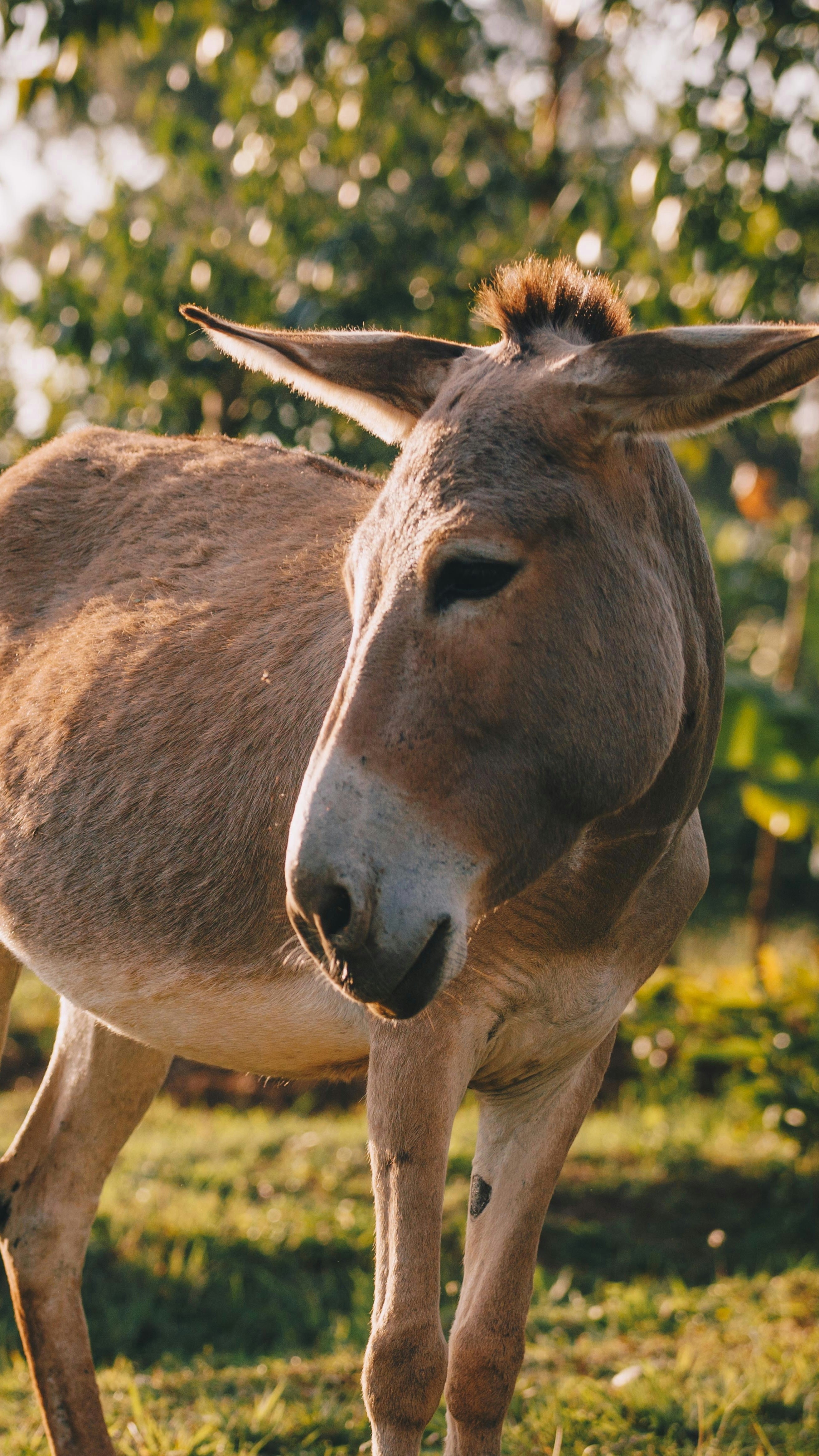 Photo by storywright