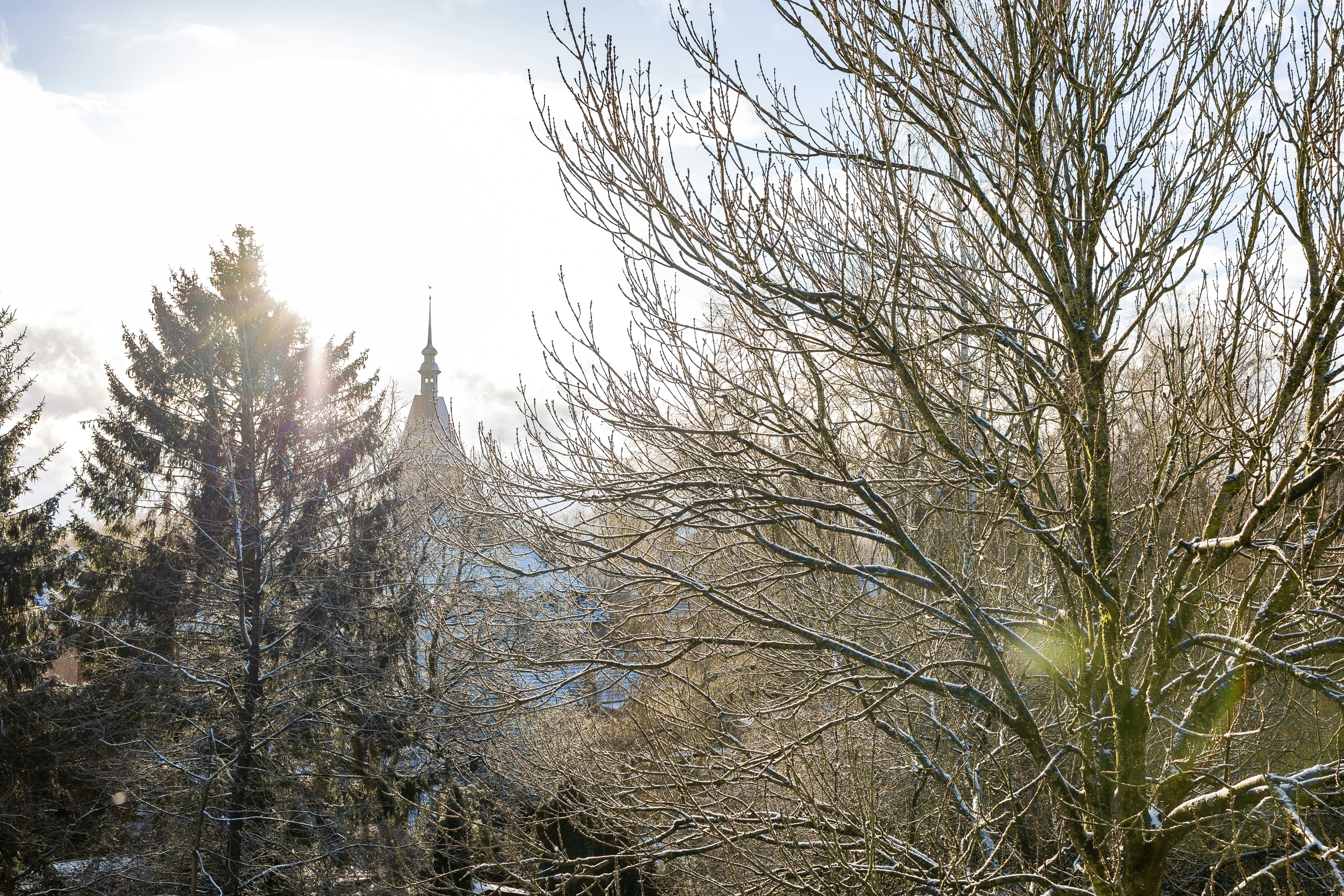 Photo by marvinradke