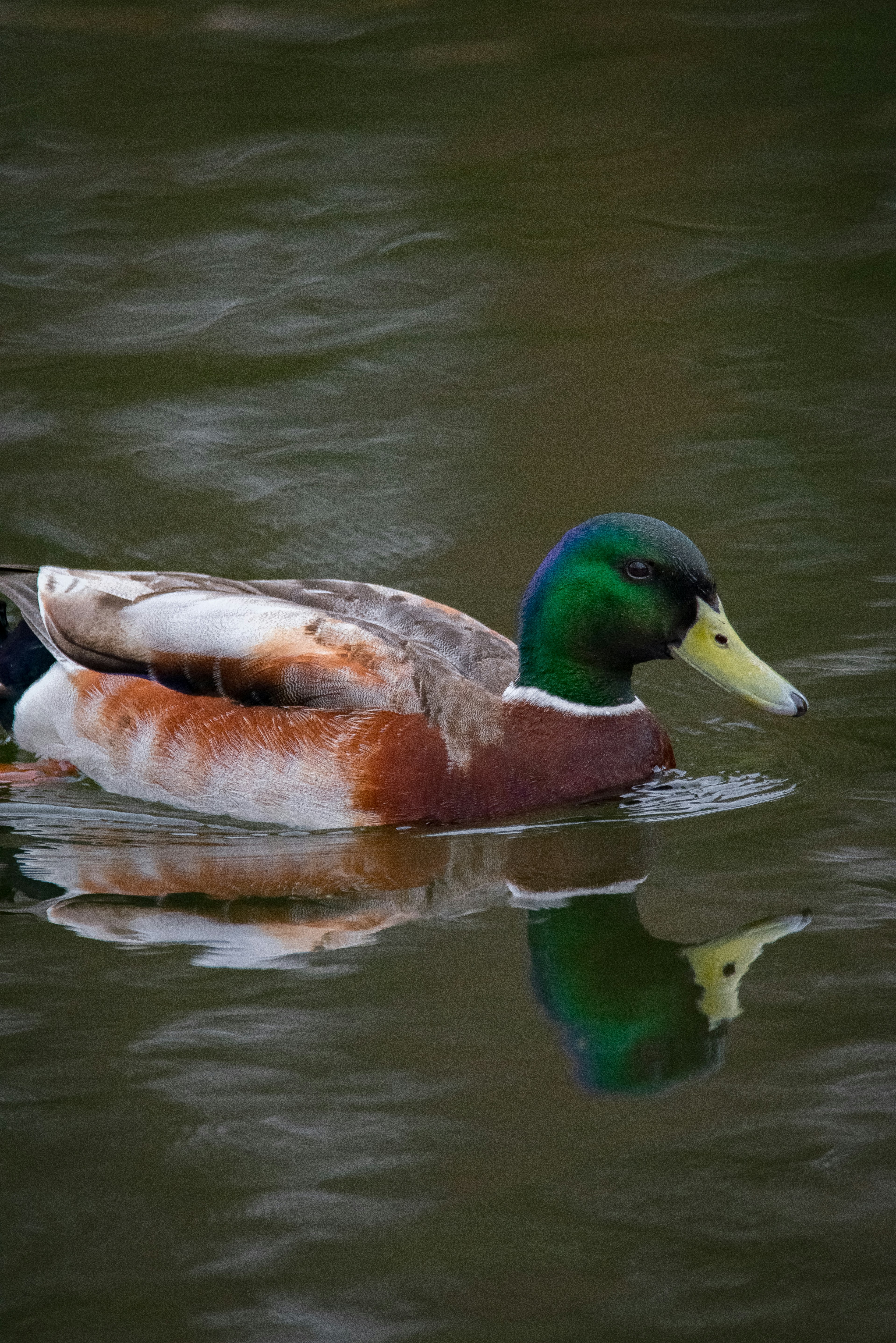 Photo by samuel_hagger