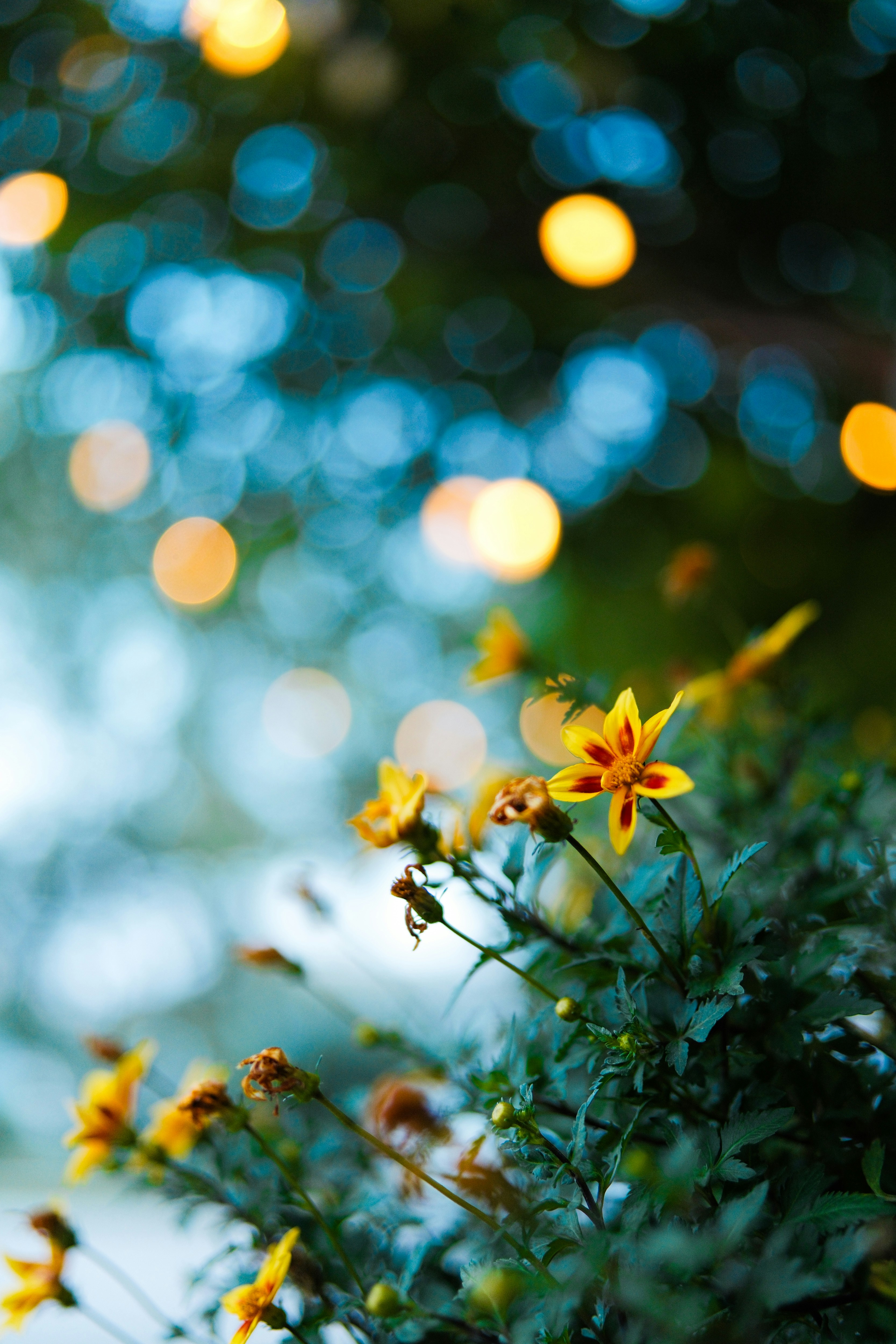 Photo by consoledotlog