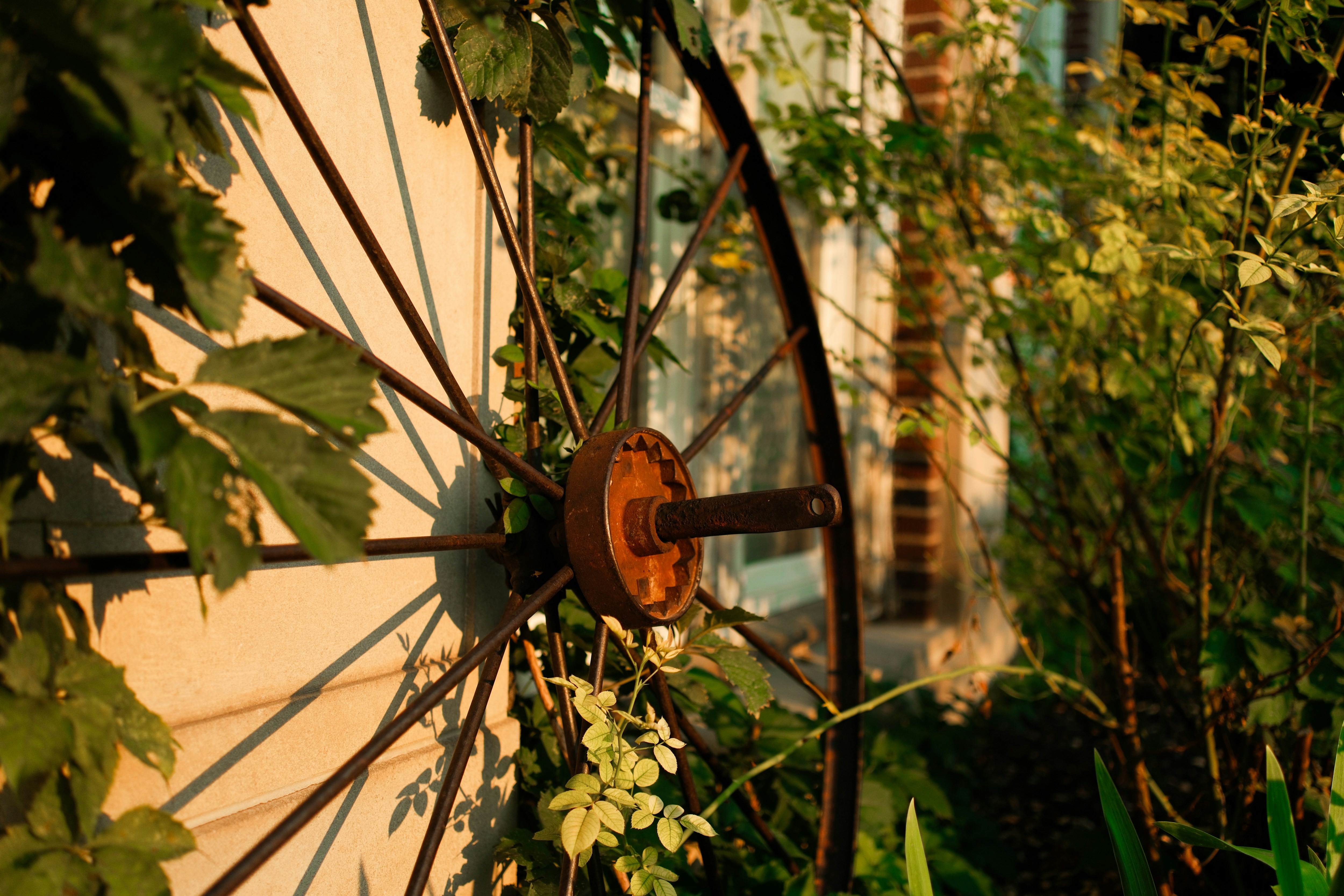 Photo by consoledotlog