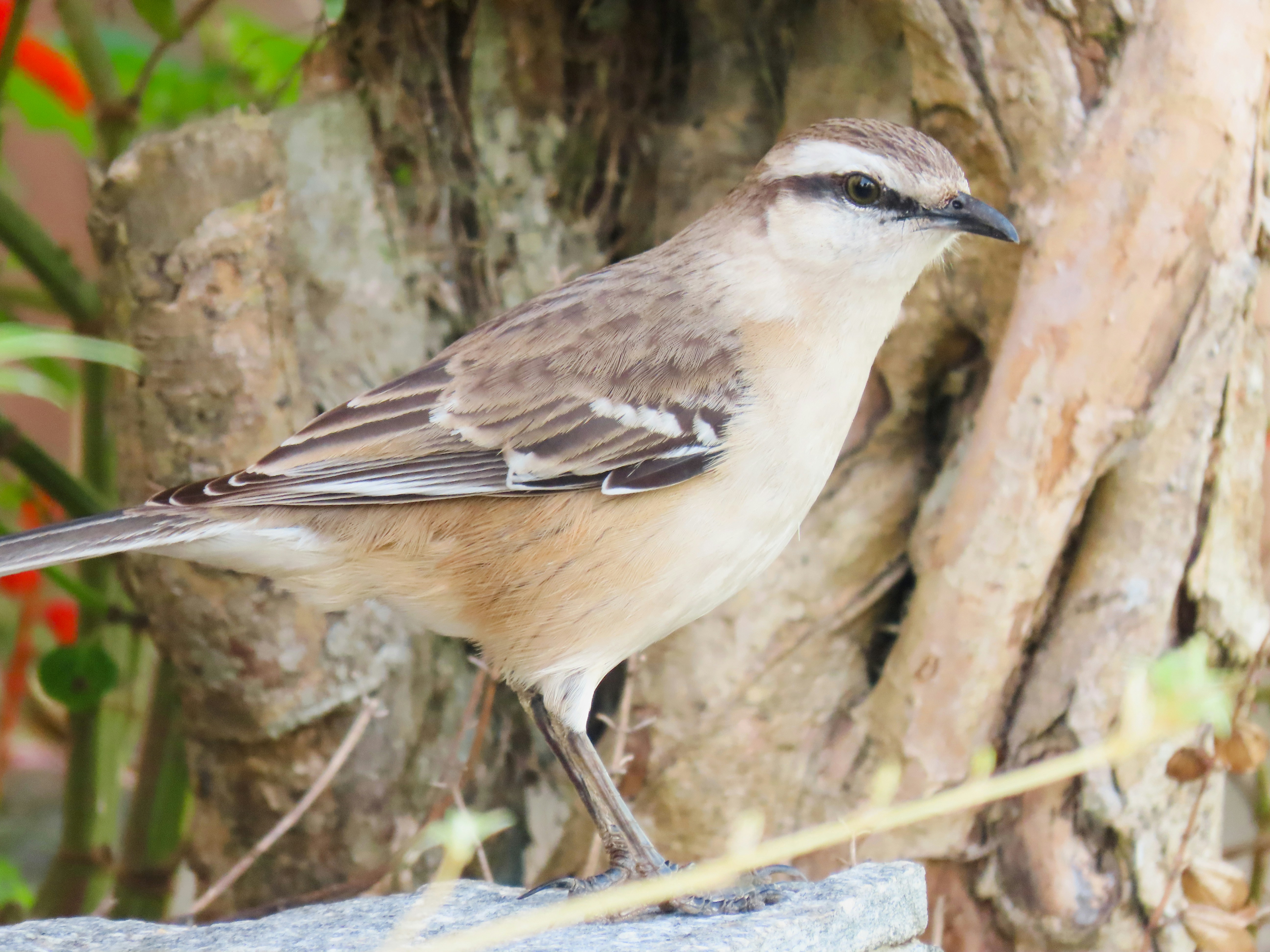 Photo by patricianicoloso