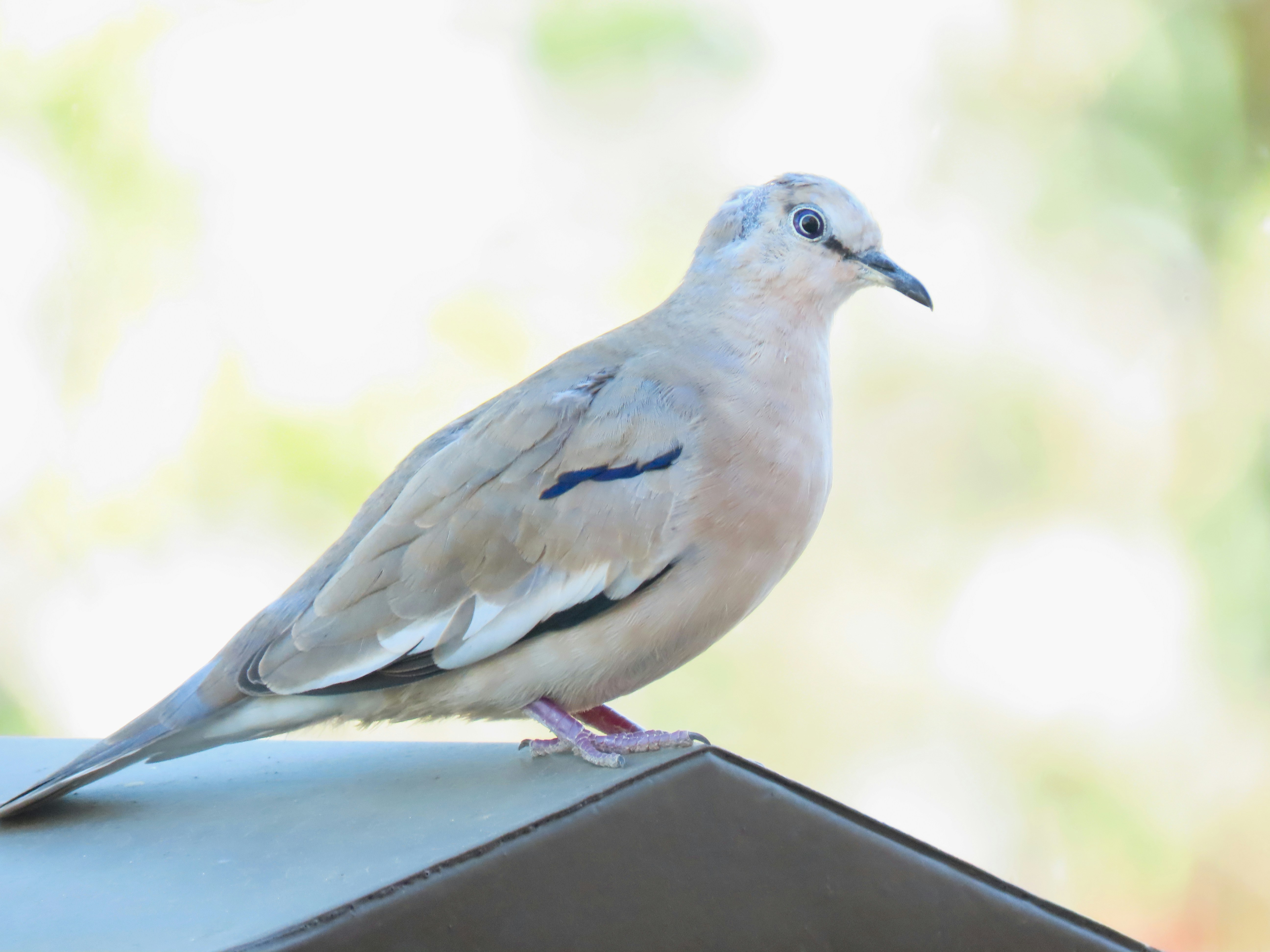 Photo by patricianicoloso