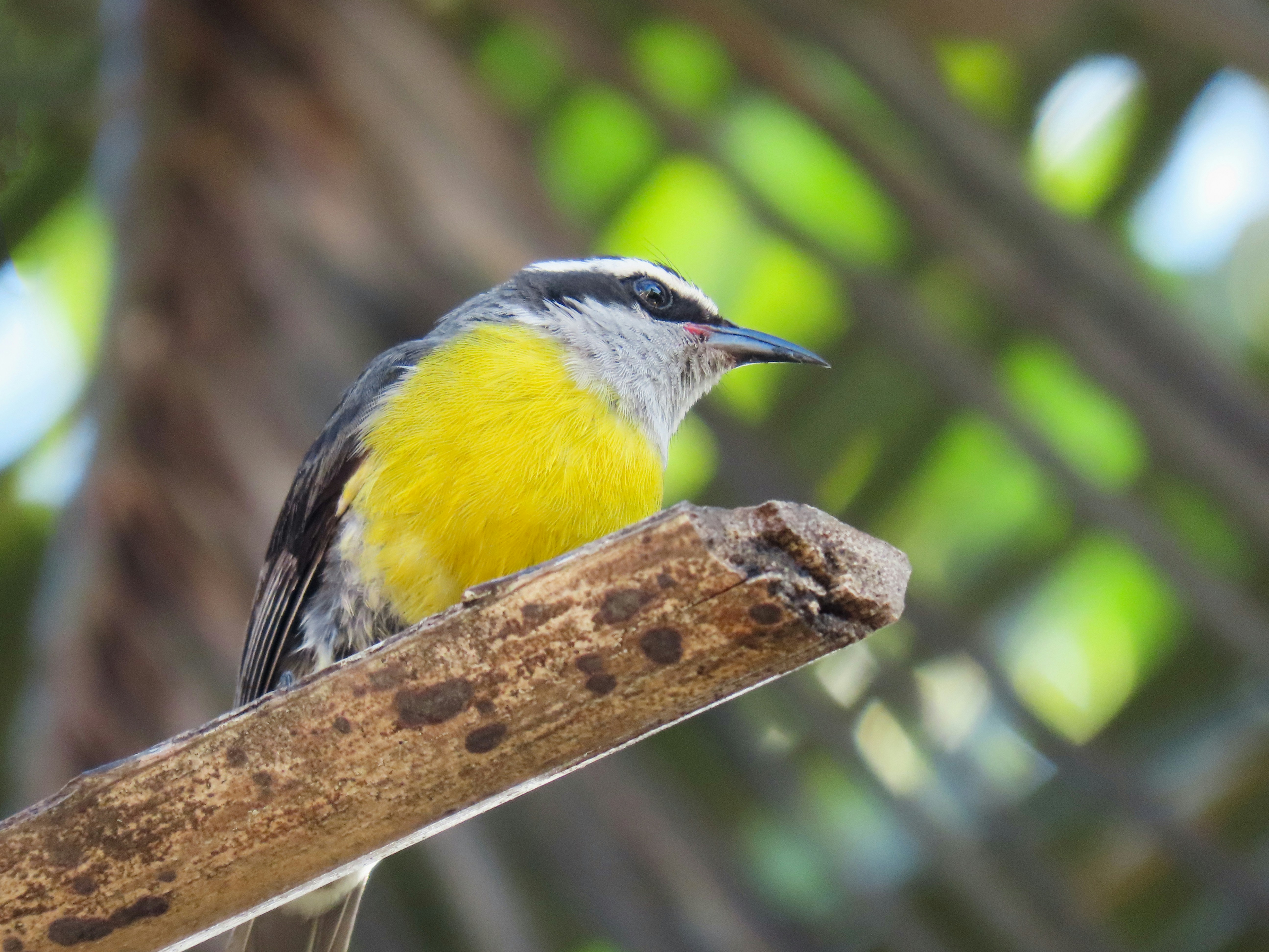 Photo by patricianicoloso