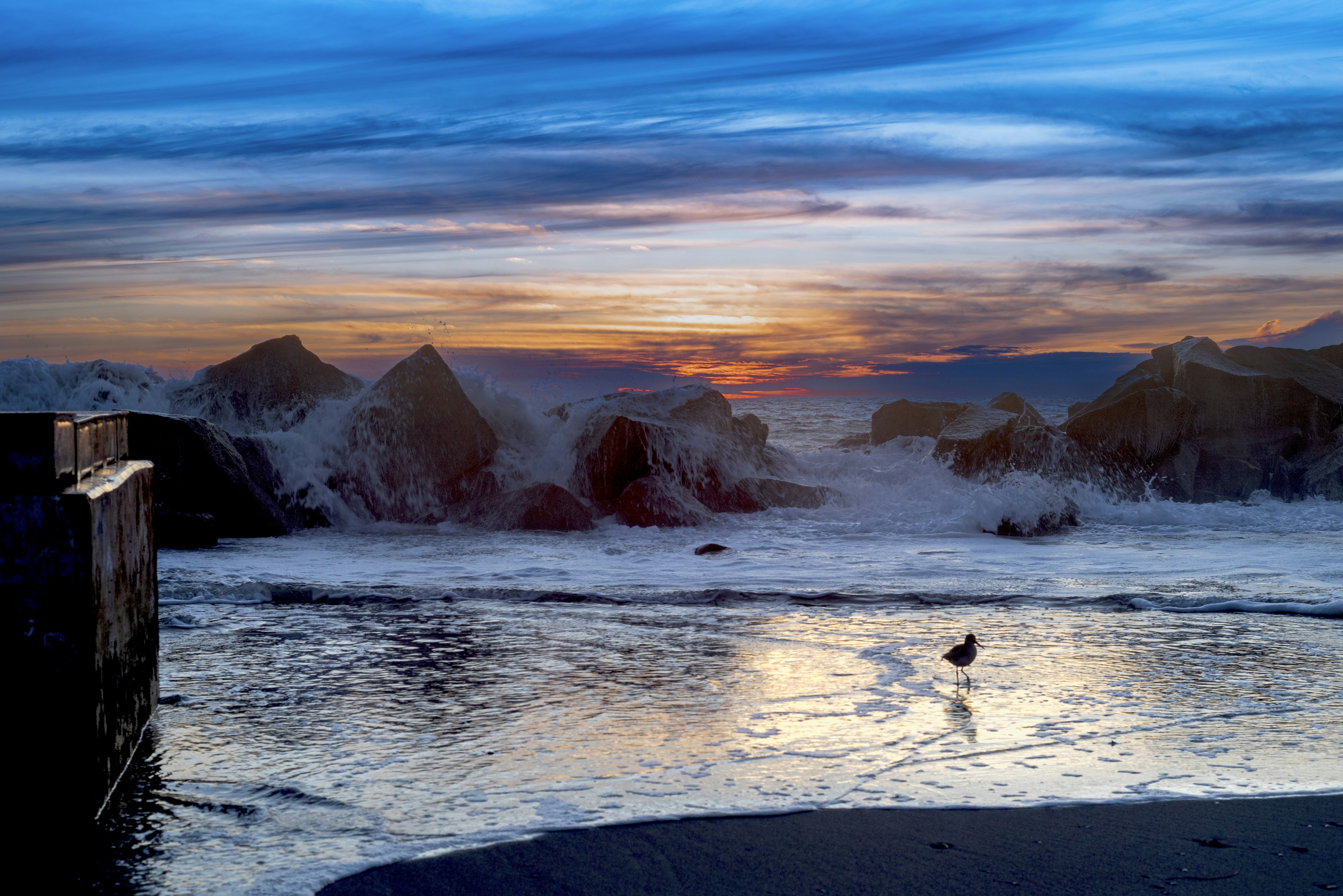 Photo by michael_jay_photography