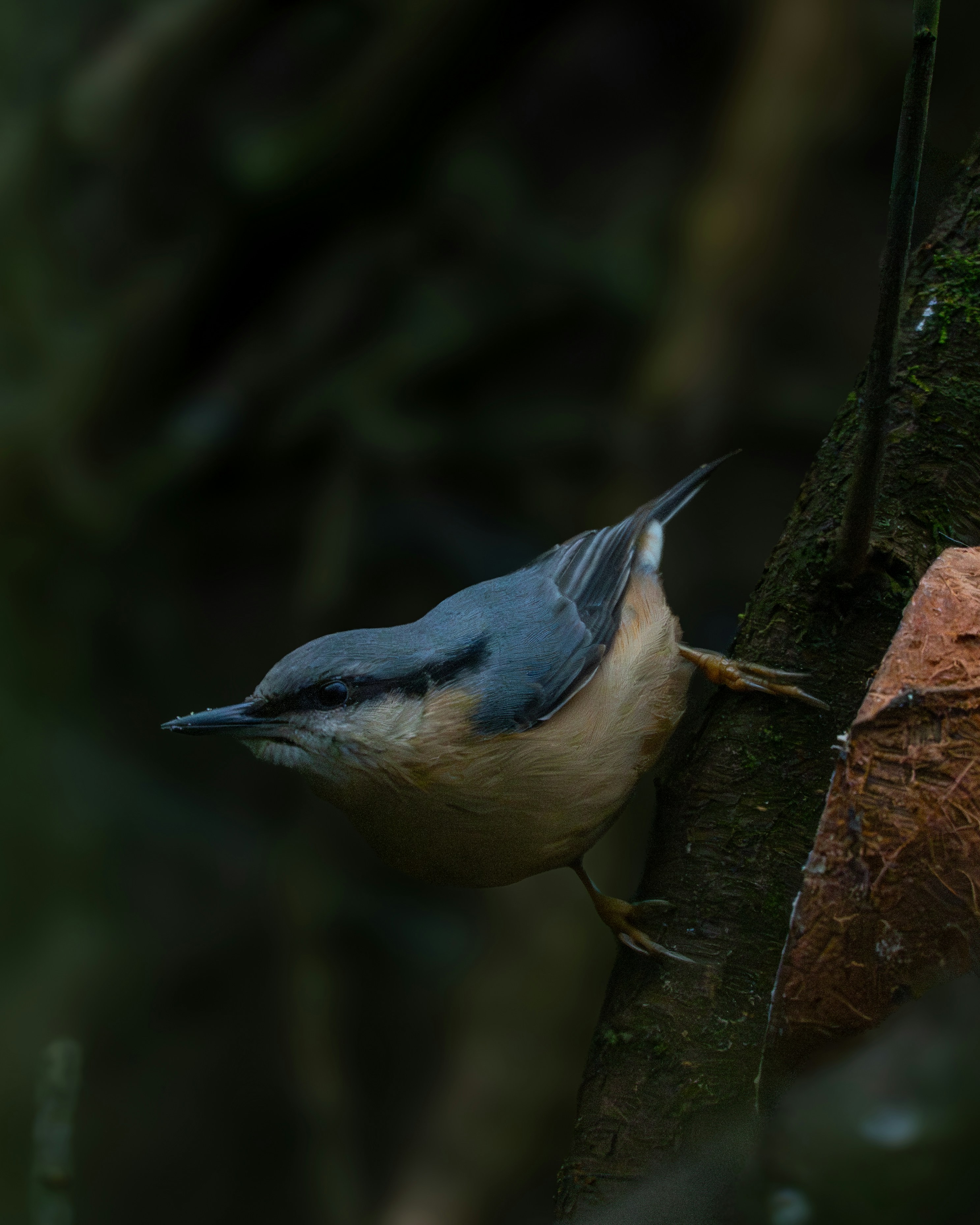 A bird is perched on a tree branch