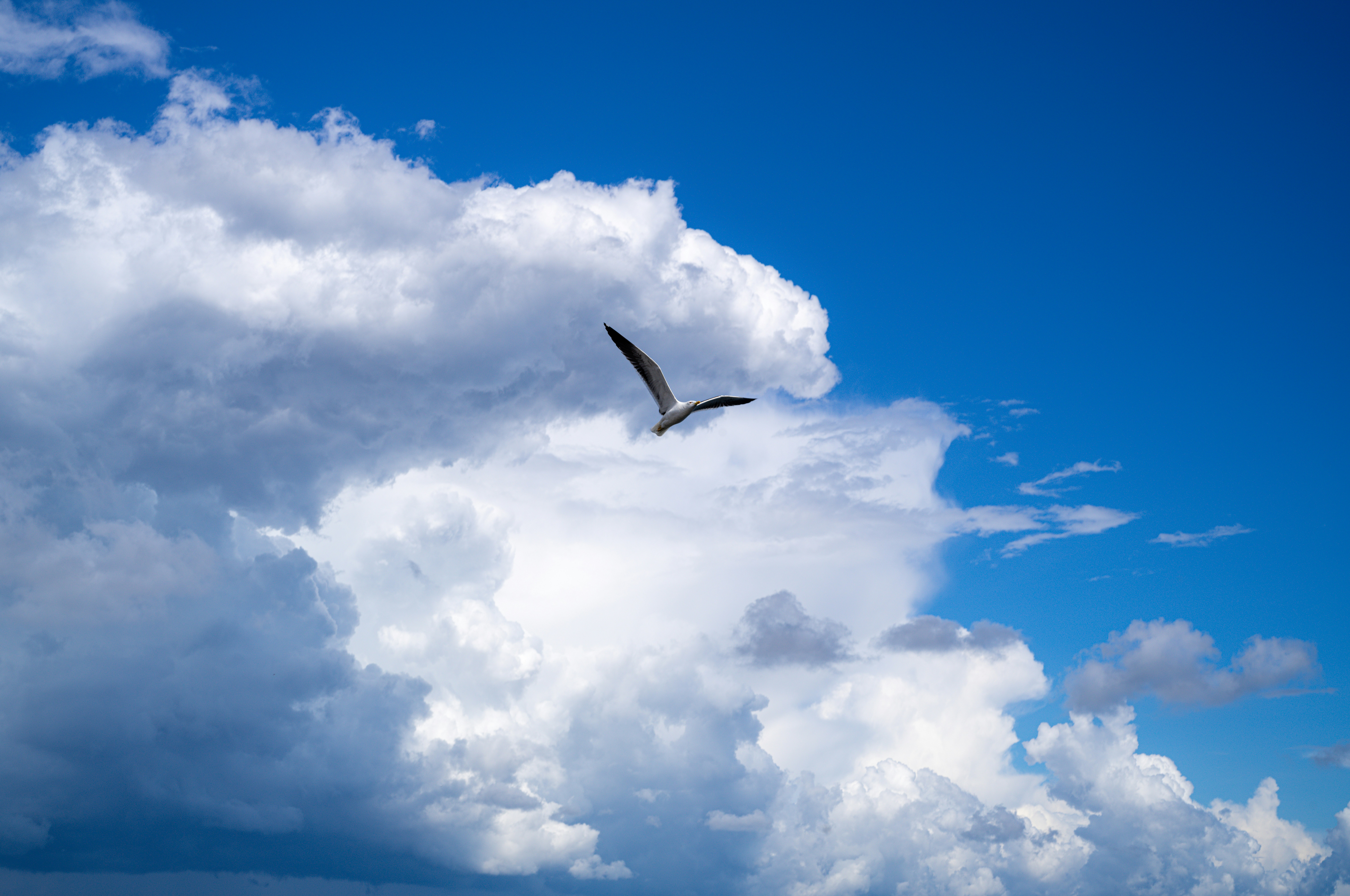 Photo by framethestreets