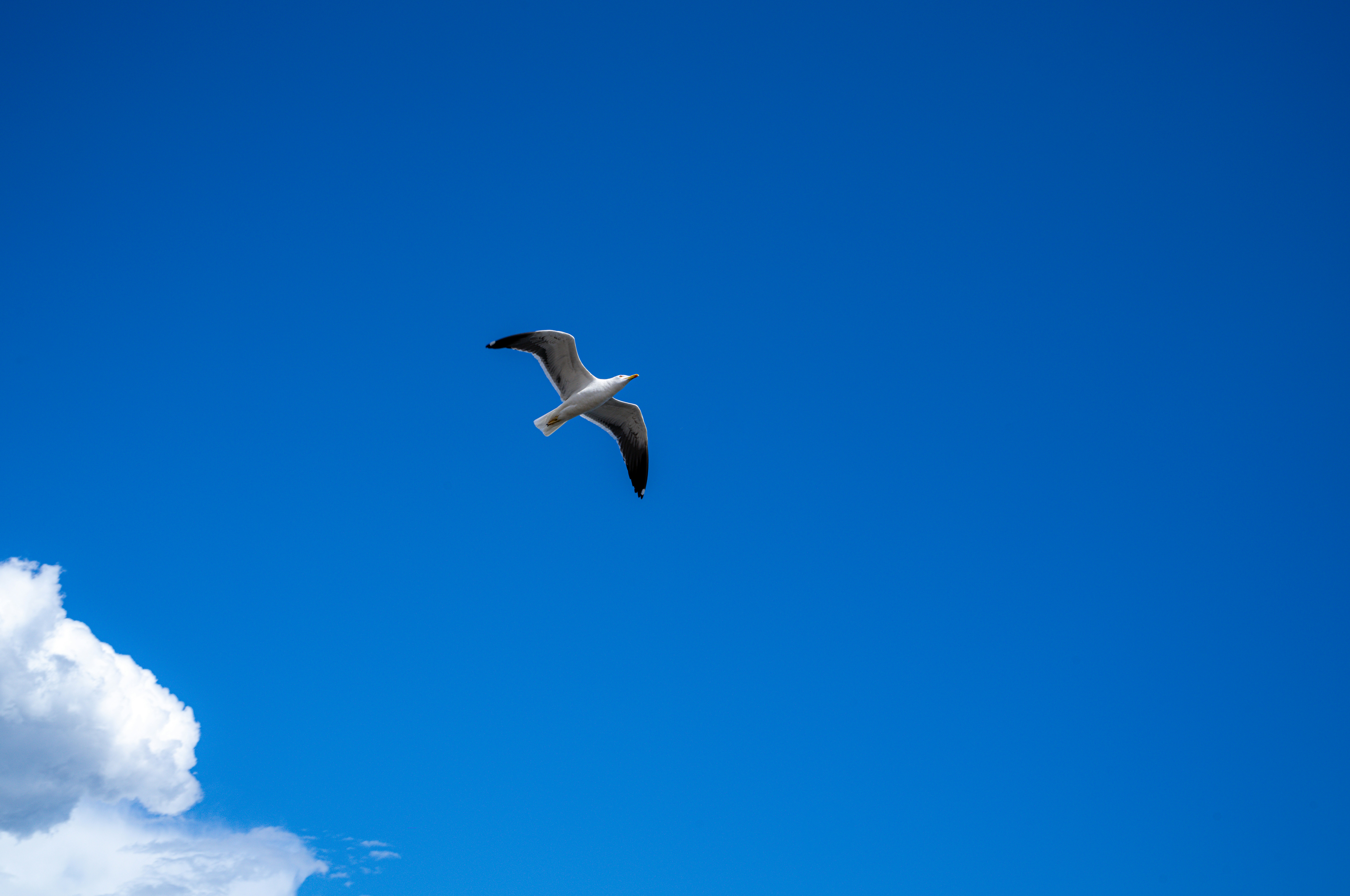 Photo by framethestreets